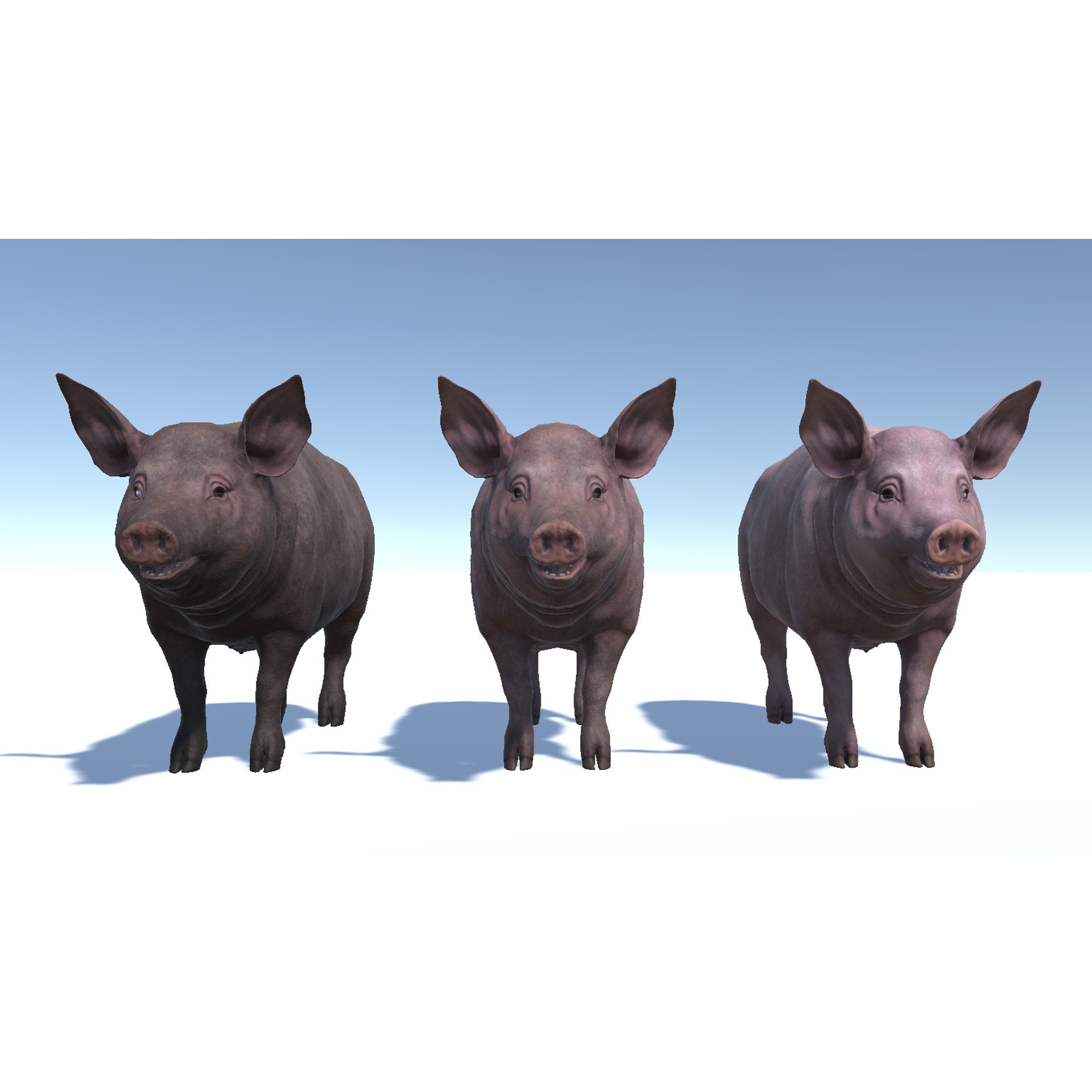 Pig - Female Low-poly 3D model 8
