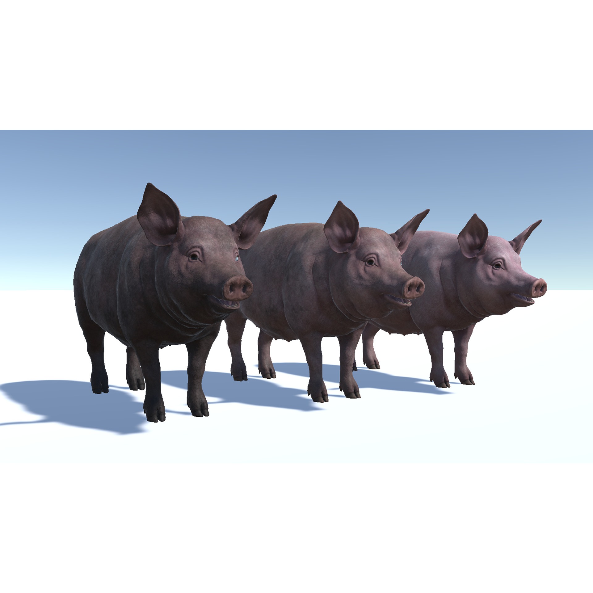 Pig - Female Low-poly 3D model 9