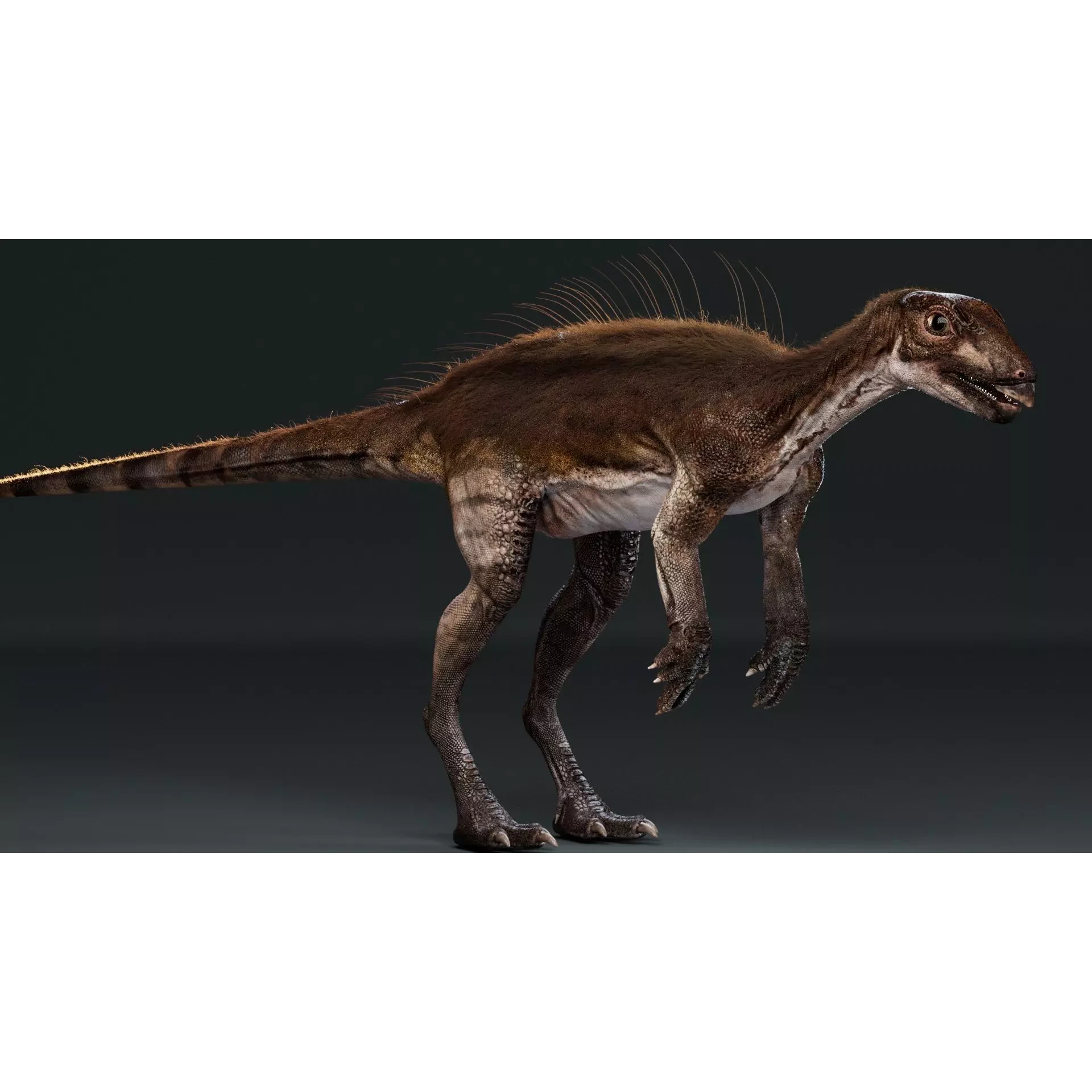 PisanosaurusNo hair Free low-poly 3D model