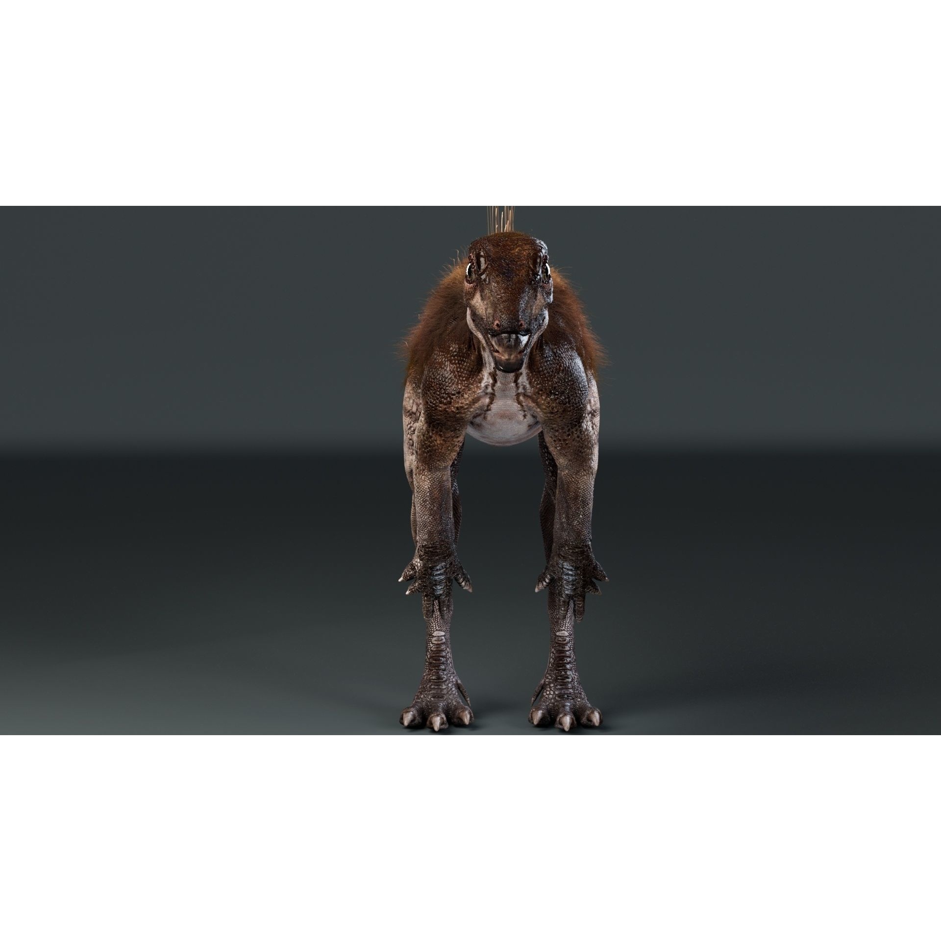 PisanosaurusNo hair Free low-poly 3D model 2