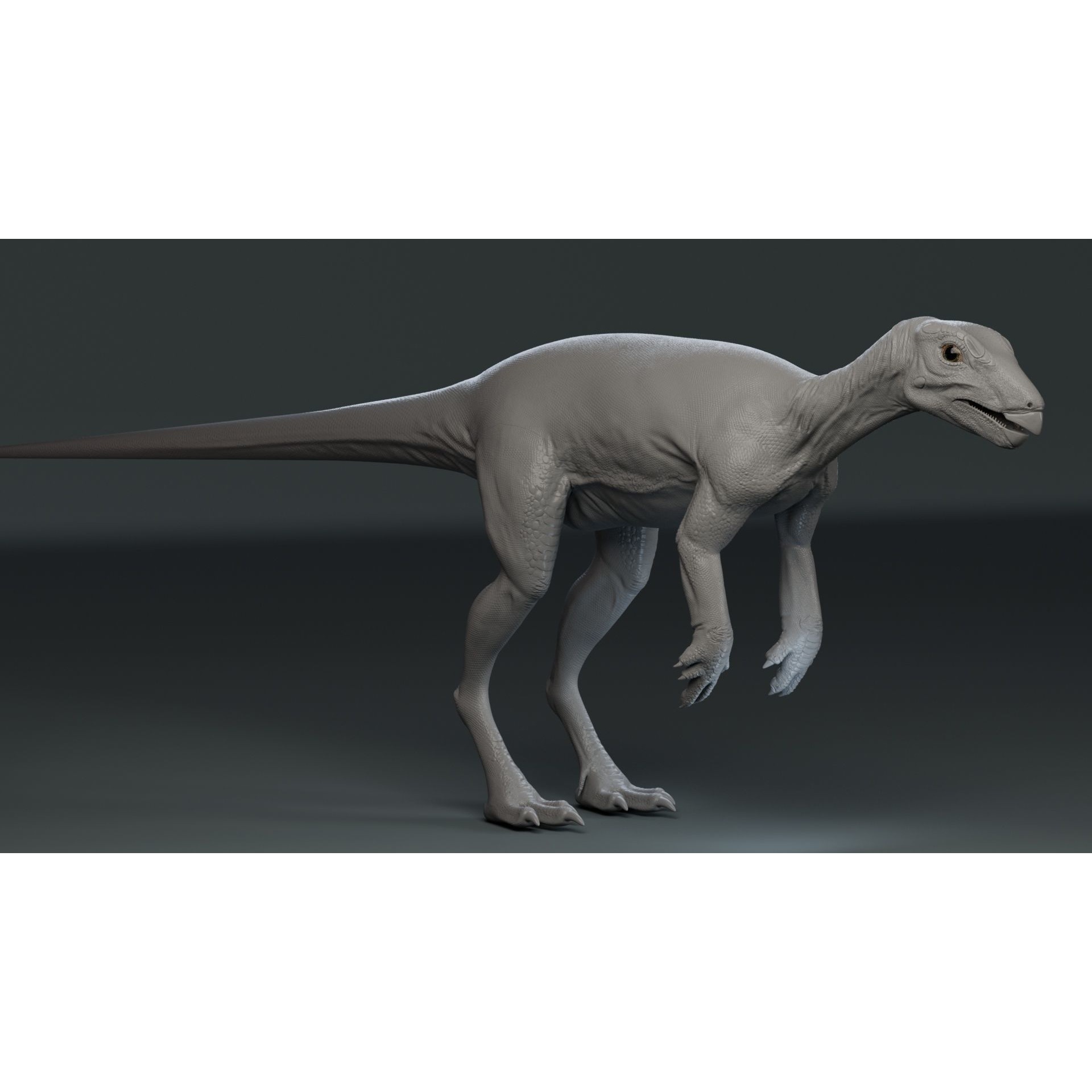 PisanosaurusNo hair Free low-poly 3D model 3