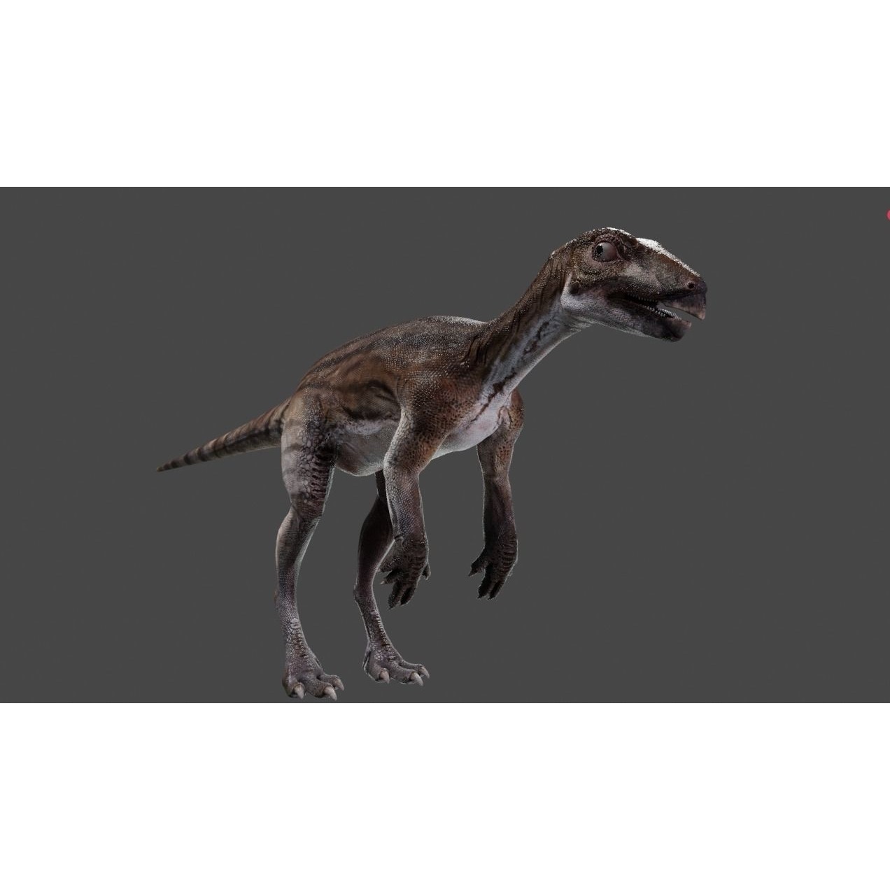 PisanosaurusNo hair Free low-poly 3D model 4