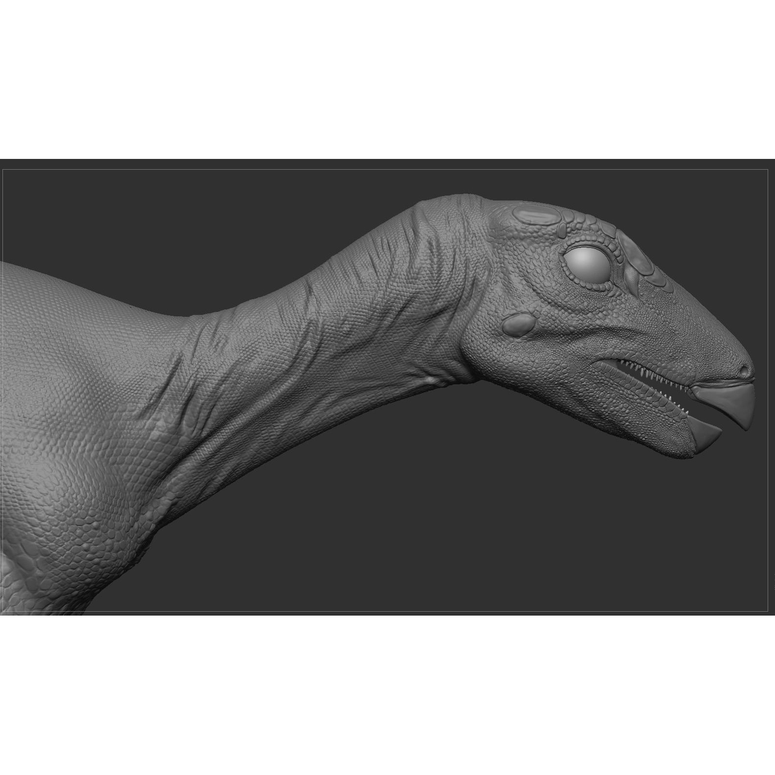PisanosaurusNo hair Free low-poly 3D model 5