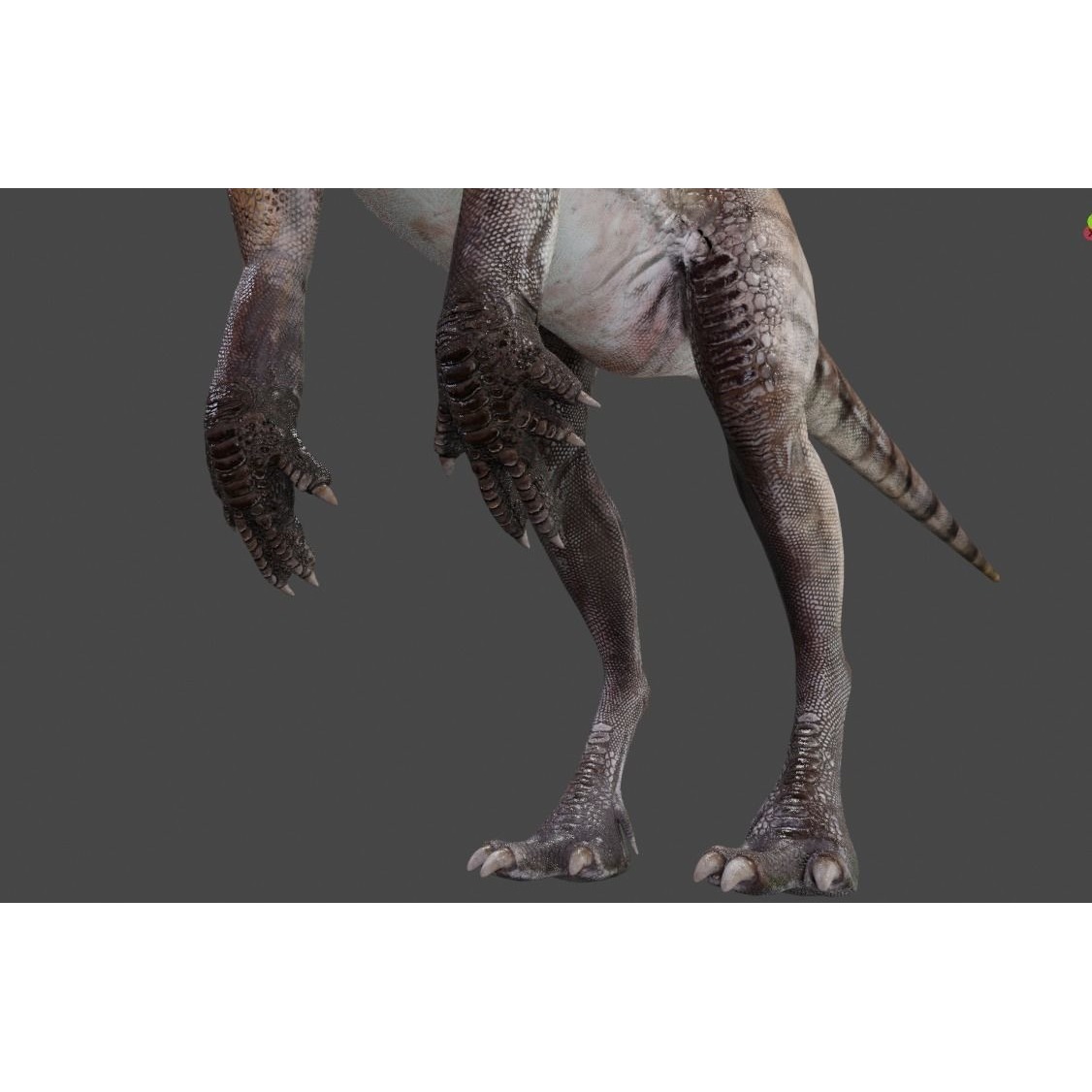 PisanosaurusNo hair Free low-poly 3D model 8