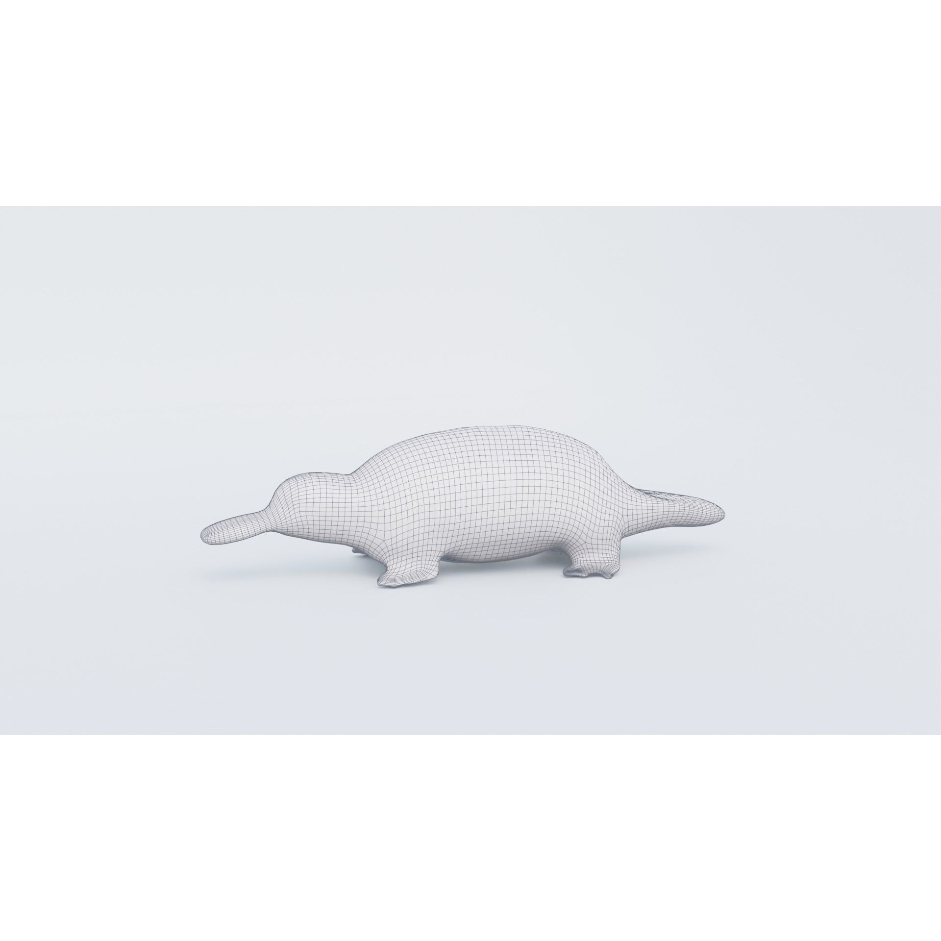 Platypus Free 3D model 7