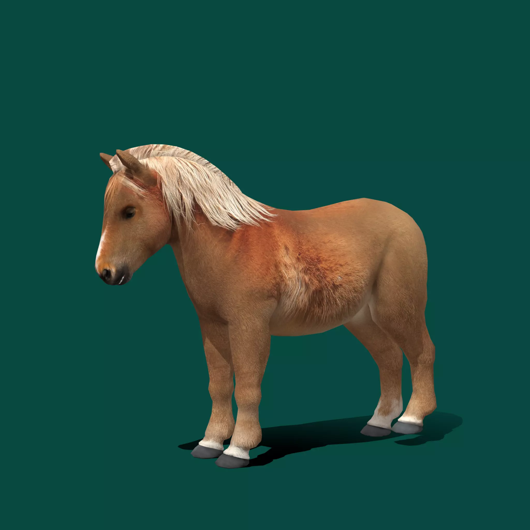 Pony Small Horse Animal Low-poly 3D model