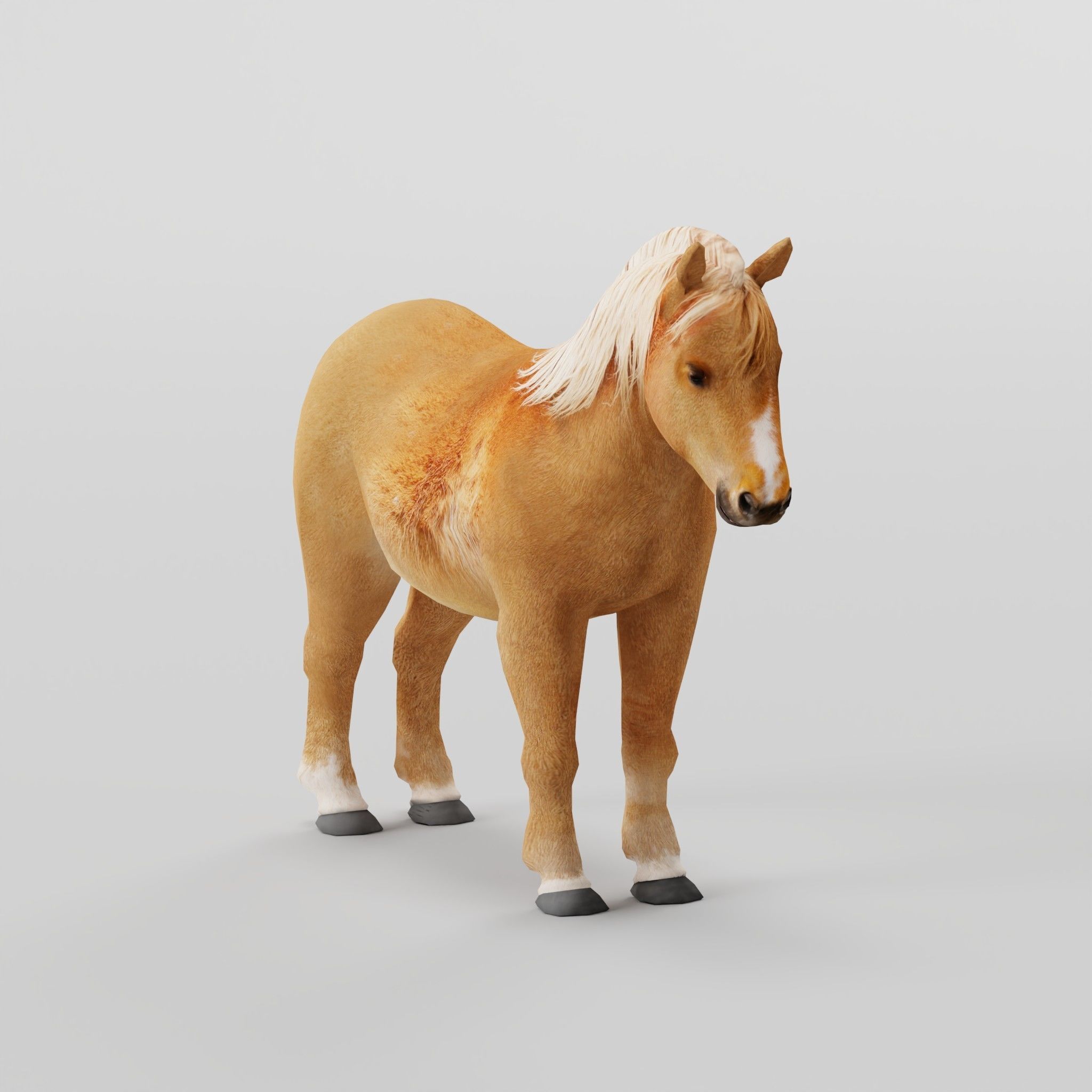 Pony Small Horse Animal Low-poly 3D model 2