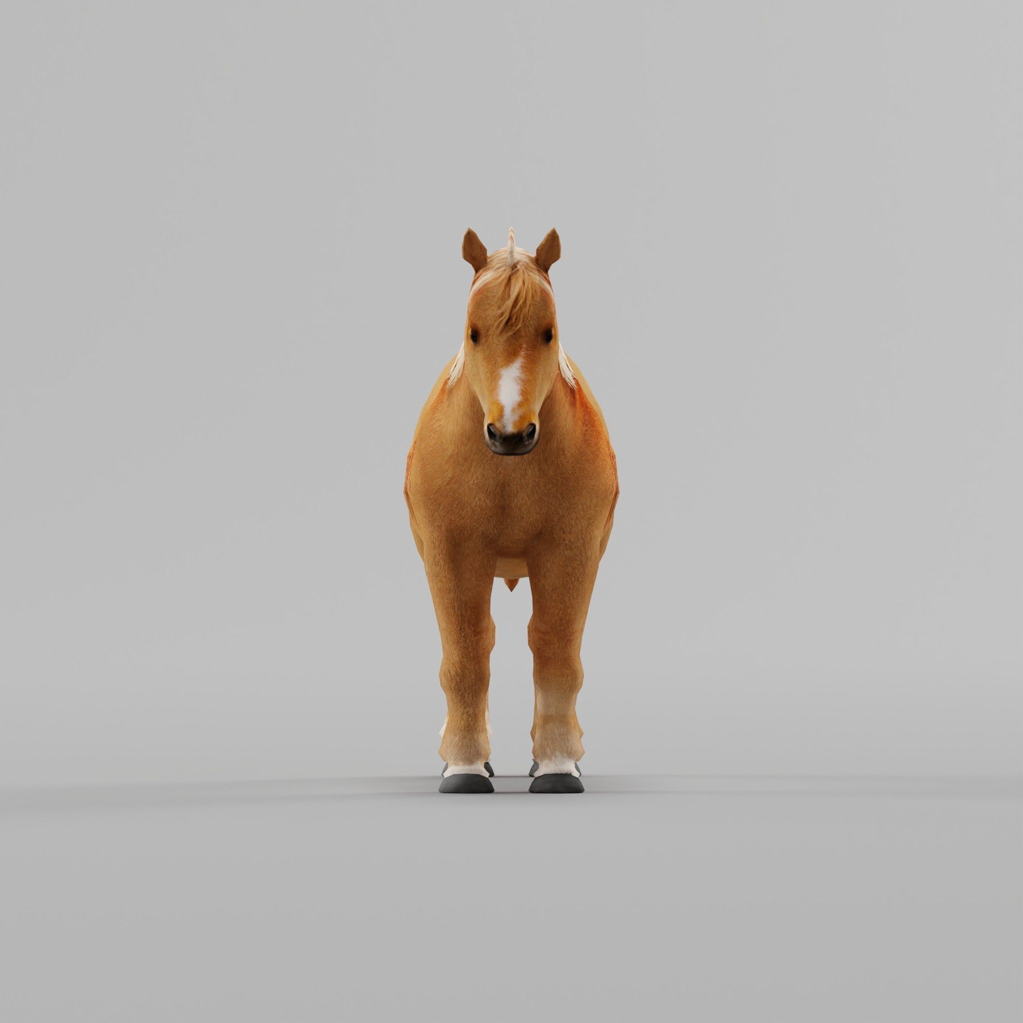 Pony Small Horse Animal Low-poly 3D model 3