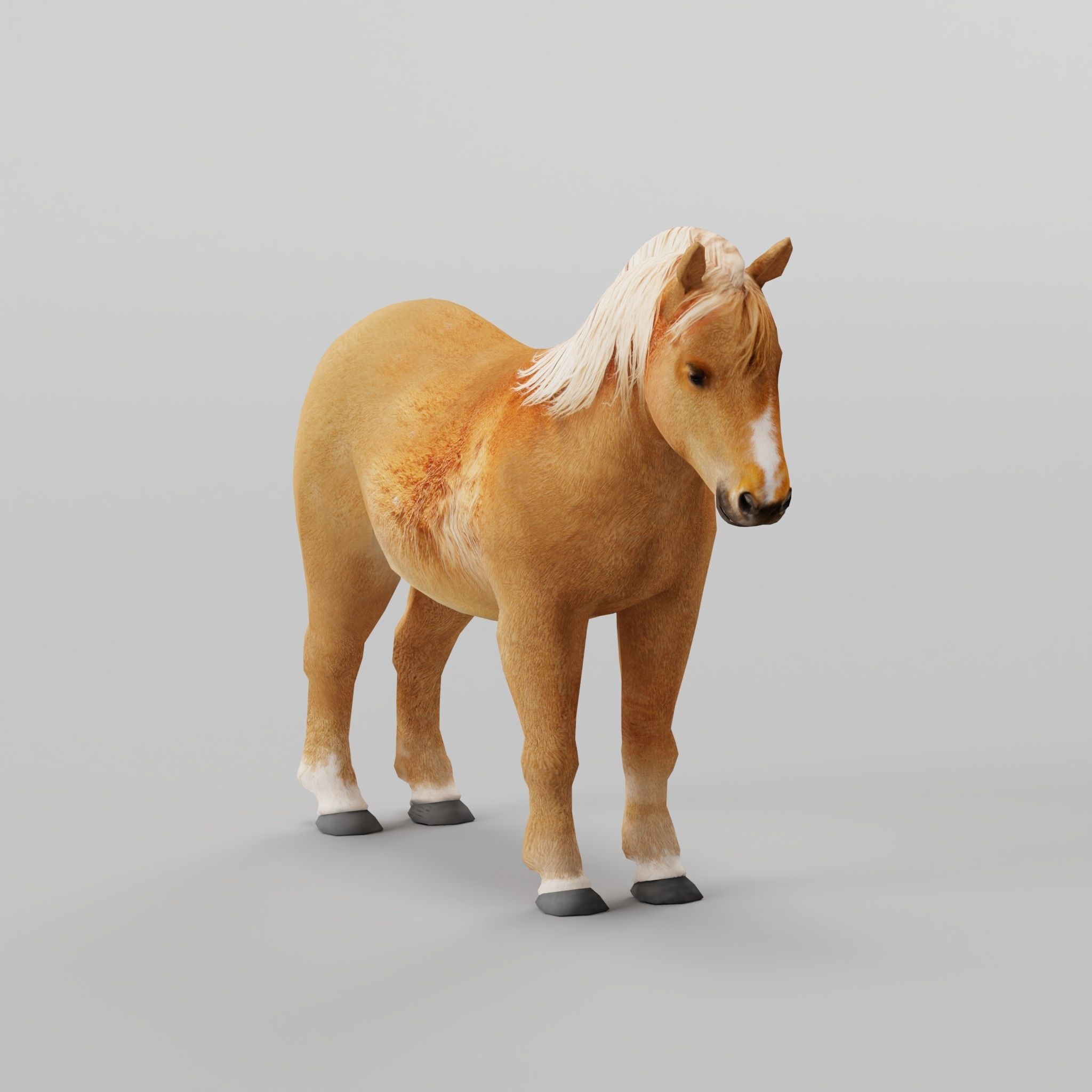 Pony Small Horse Animal Low-poly 3D model 4