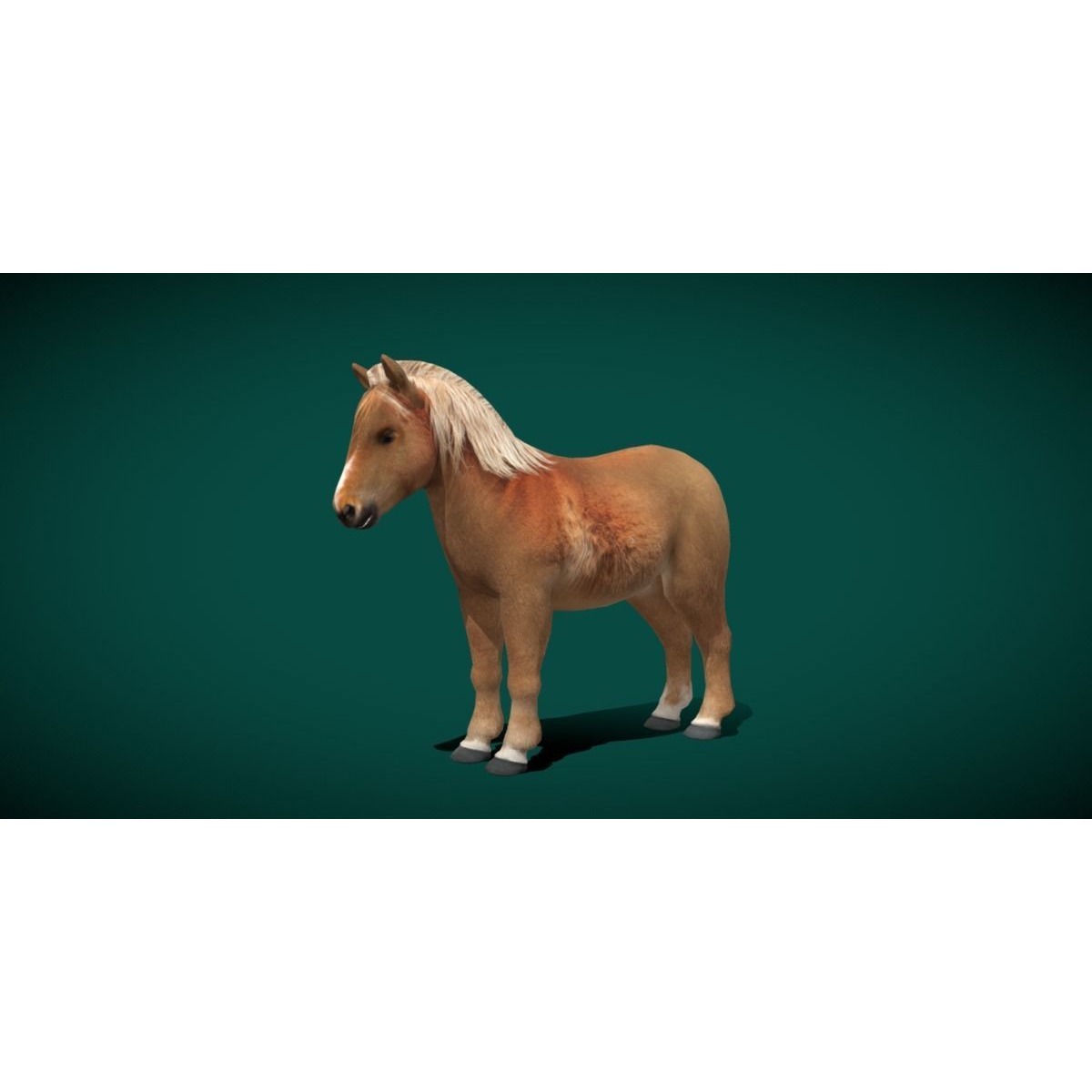 Pony Small Horse Animal Low-poly 3D model 7
