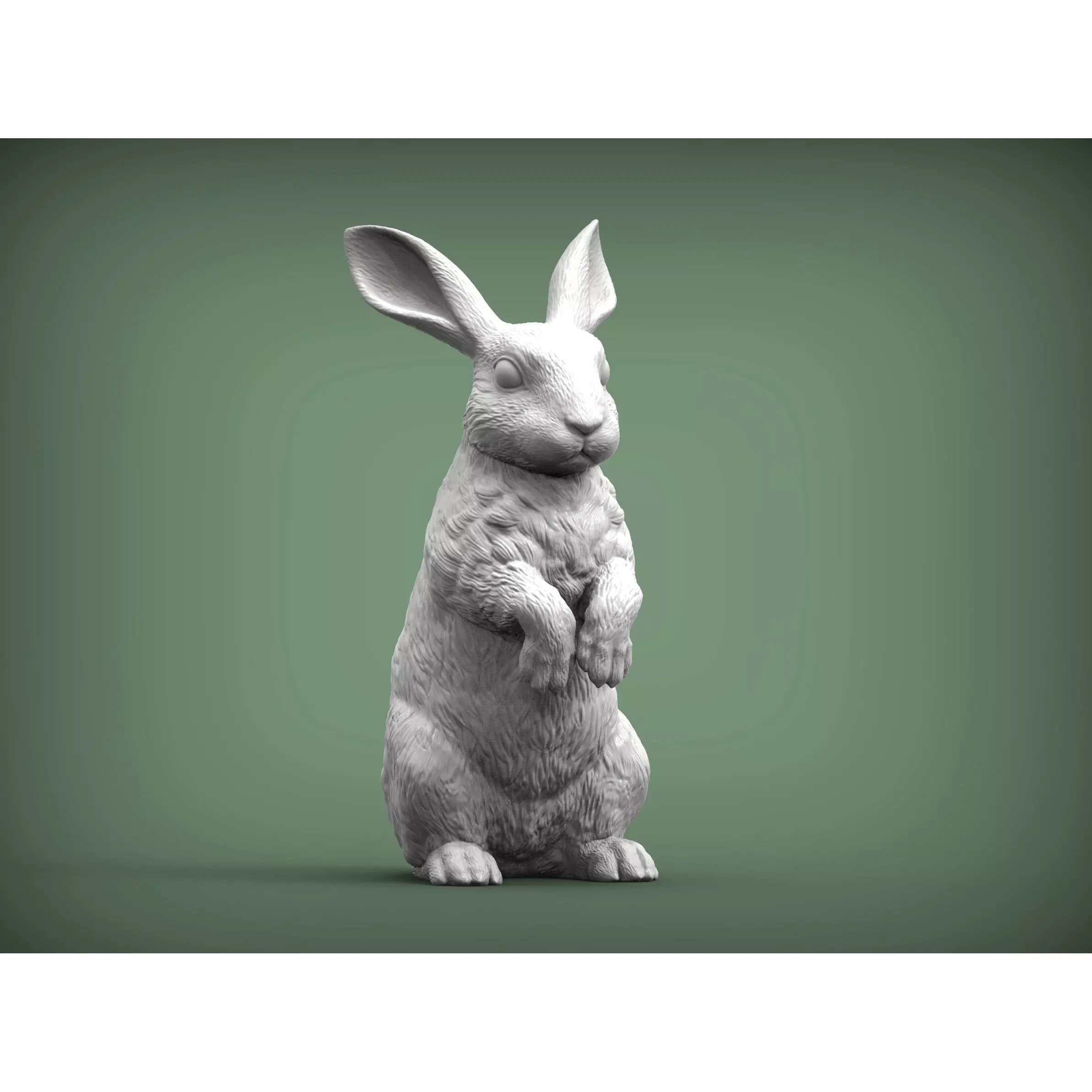 Rabbit bunny 3D print model