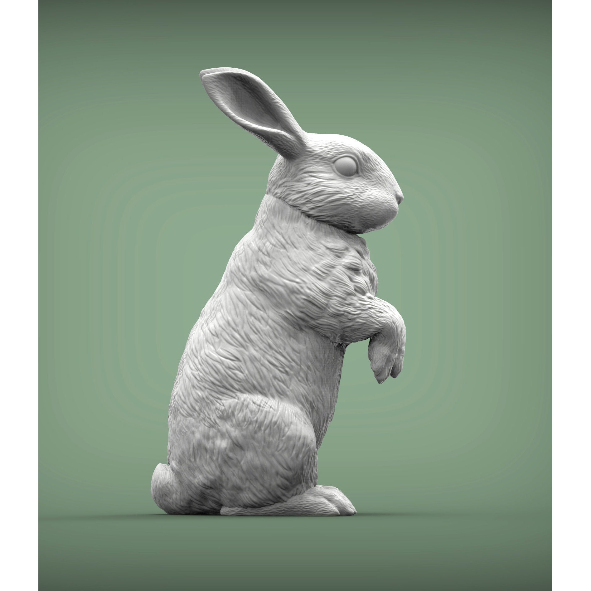 Rabbit bunny 3D print model 2