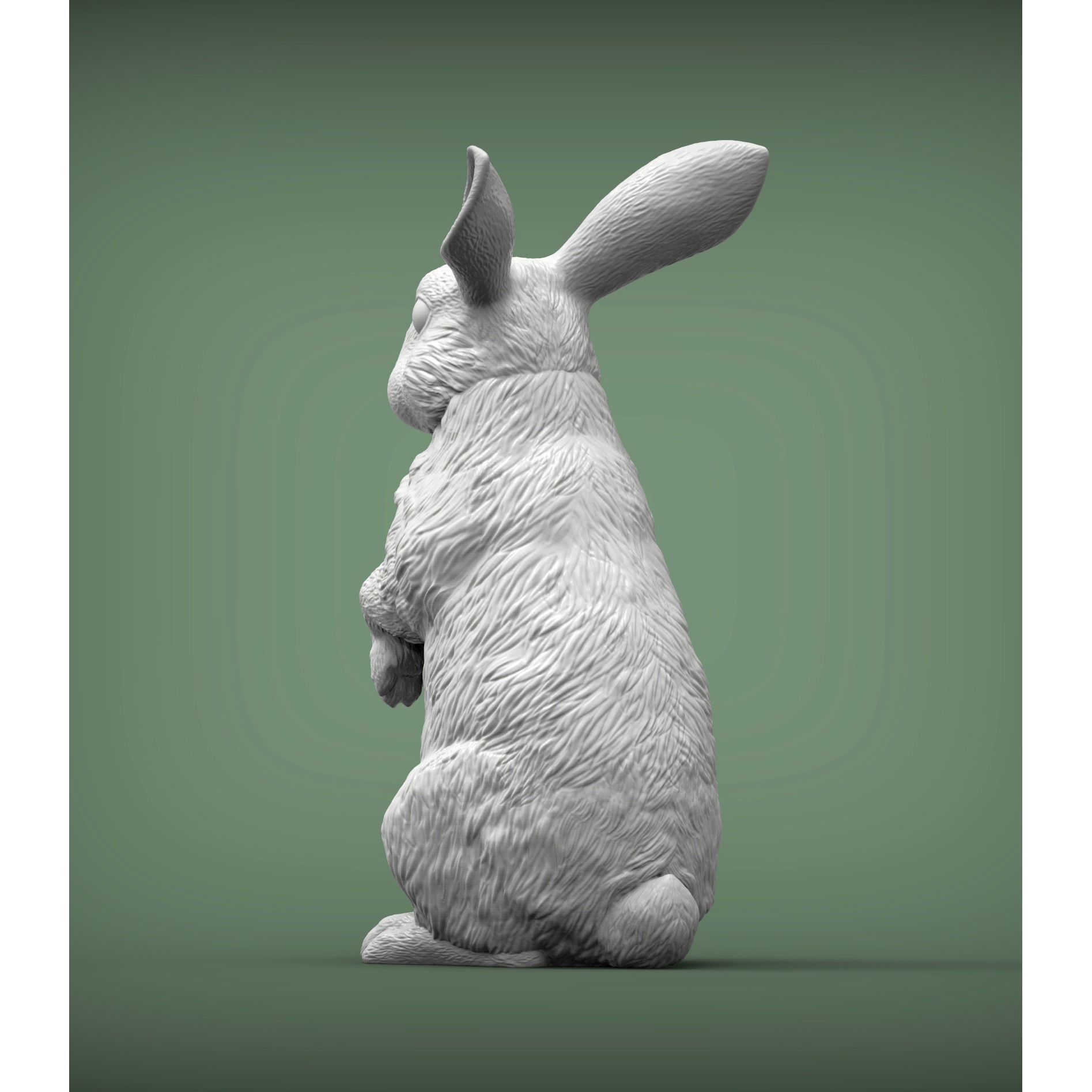 Rabbit bunny 3D print model 4