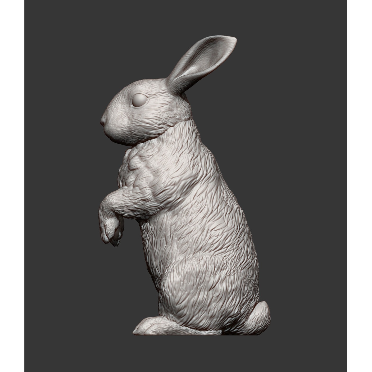 Rabbit bunny 3D print model 5