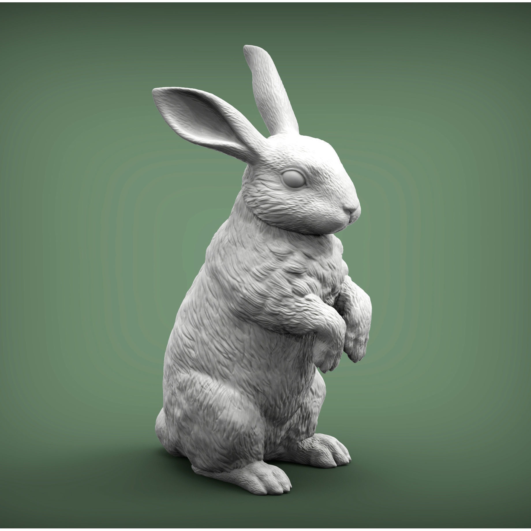 Rabbit bunny 3D print model 7