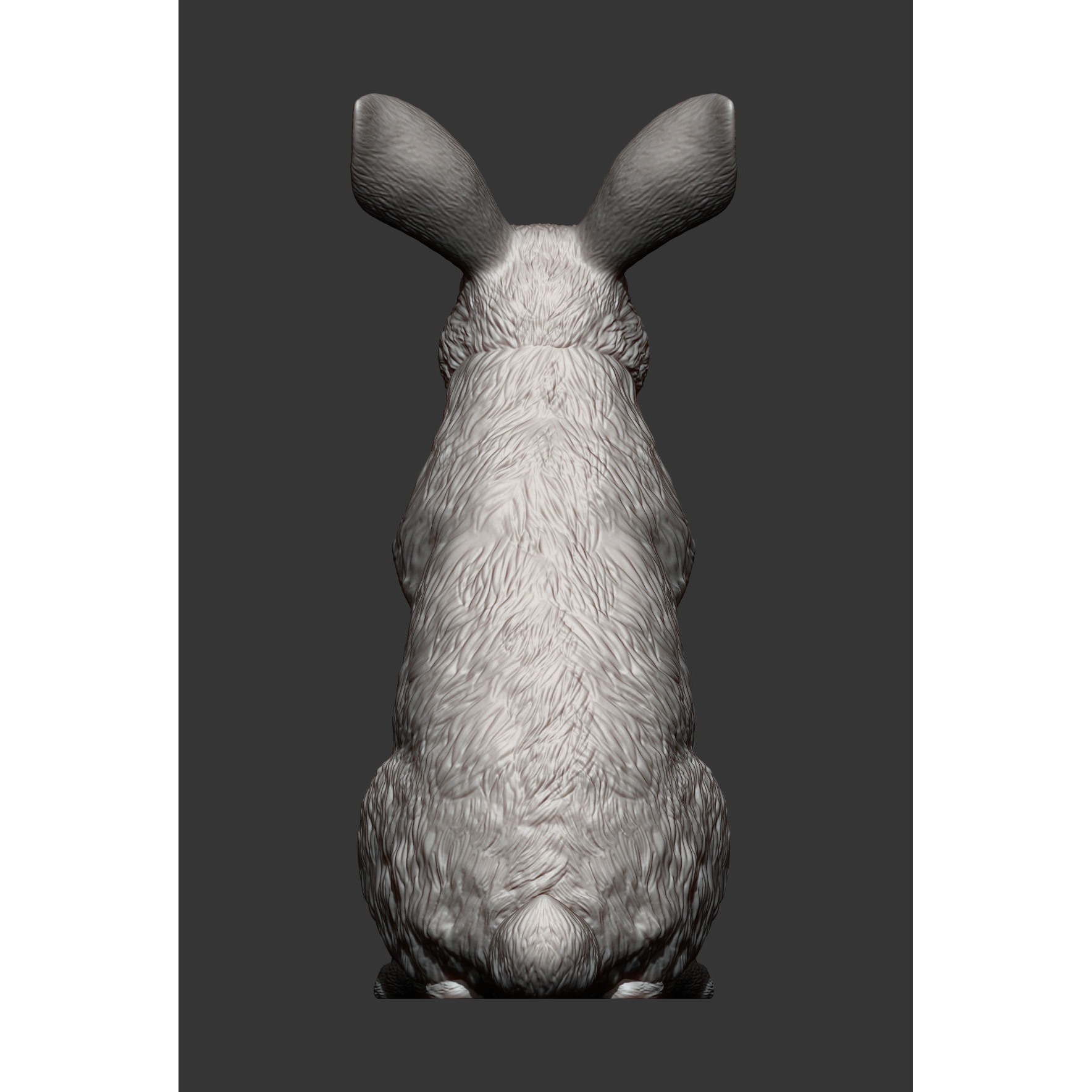 Rabbit bunny 3D print model 8