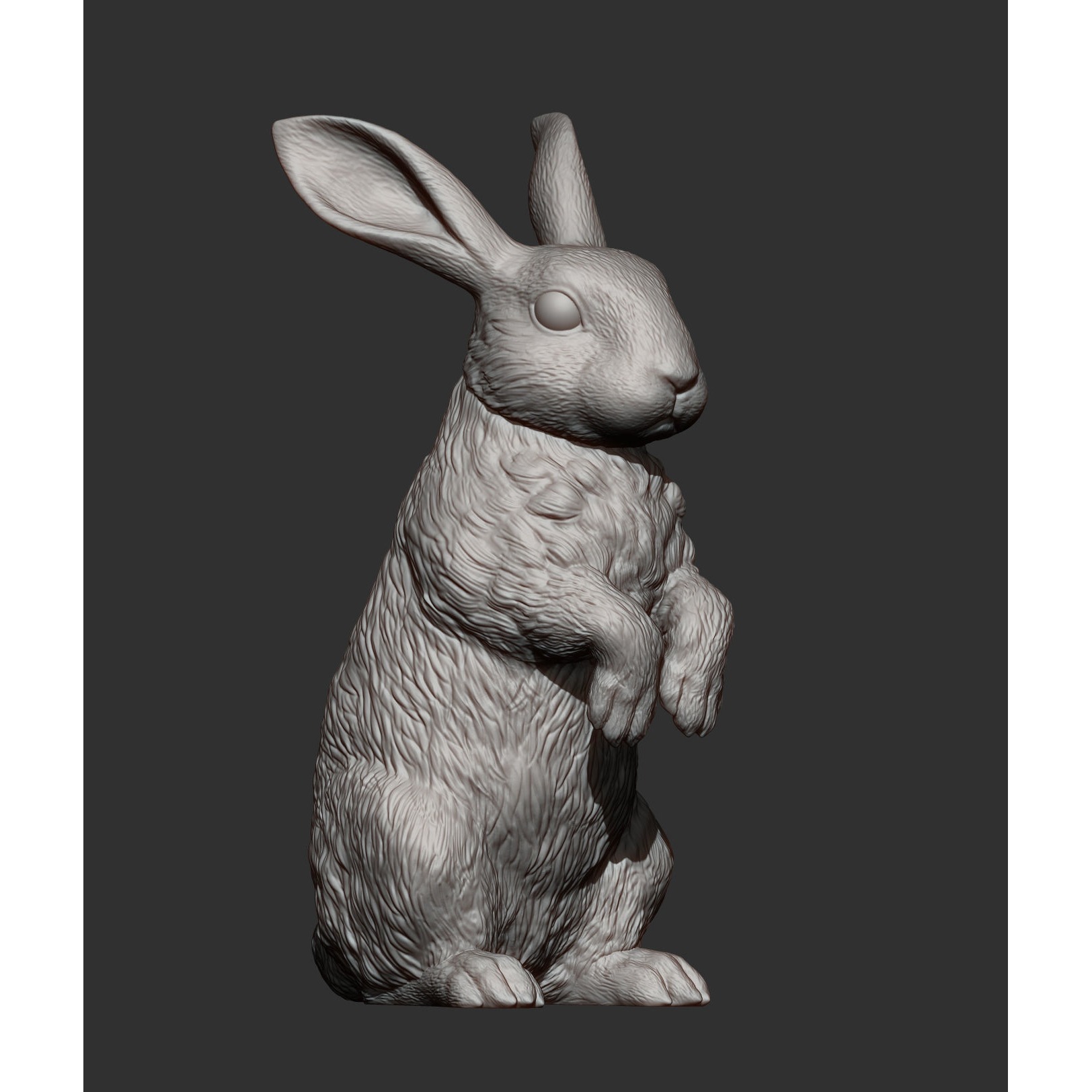 Rabbit bunny 3D print model 9
