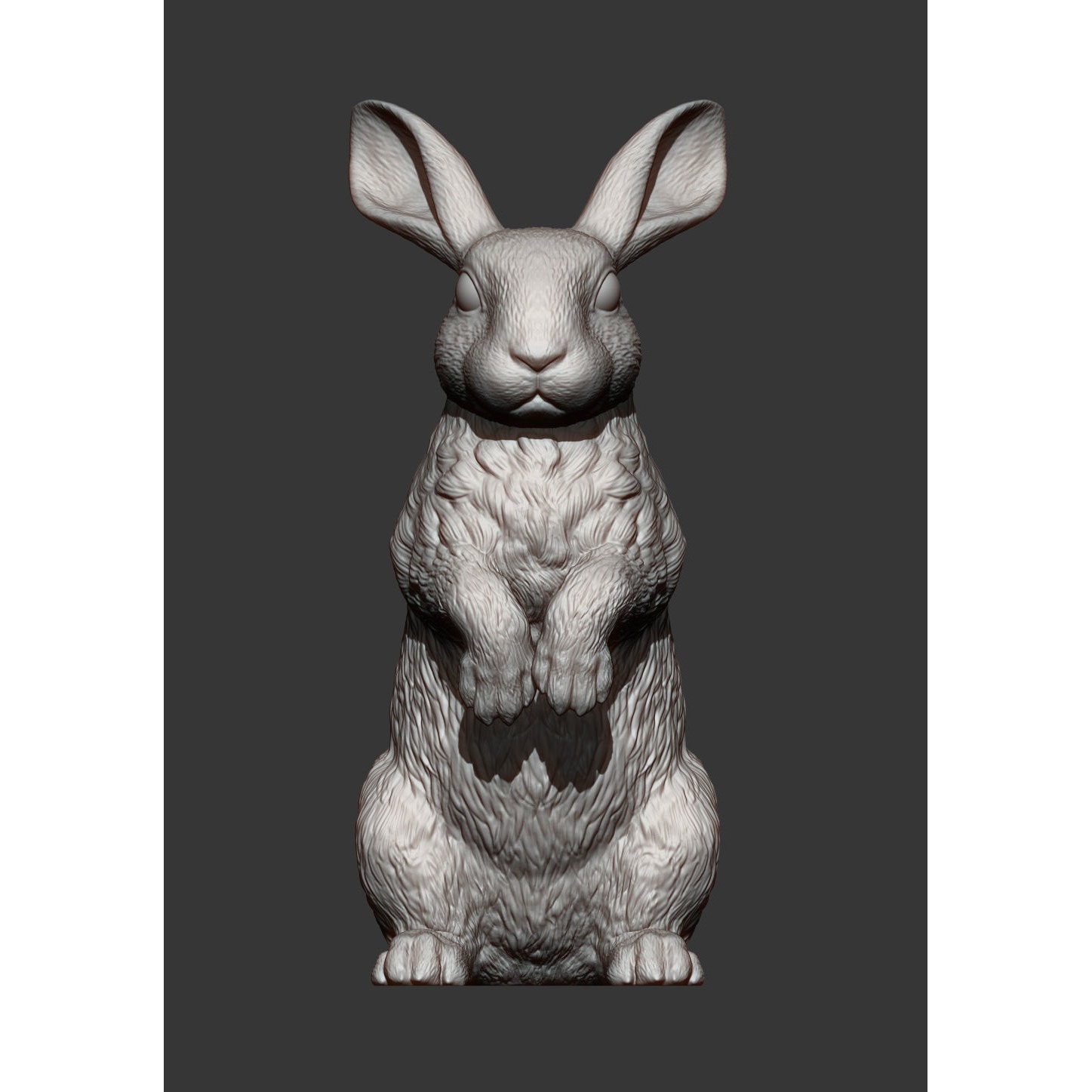 Rabbit bunny 3D print model 10