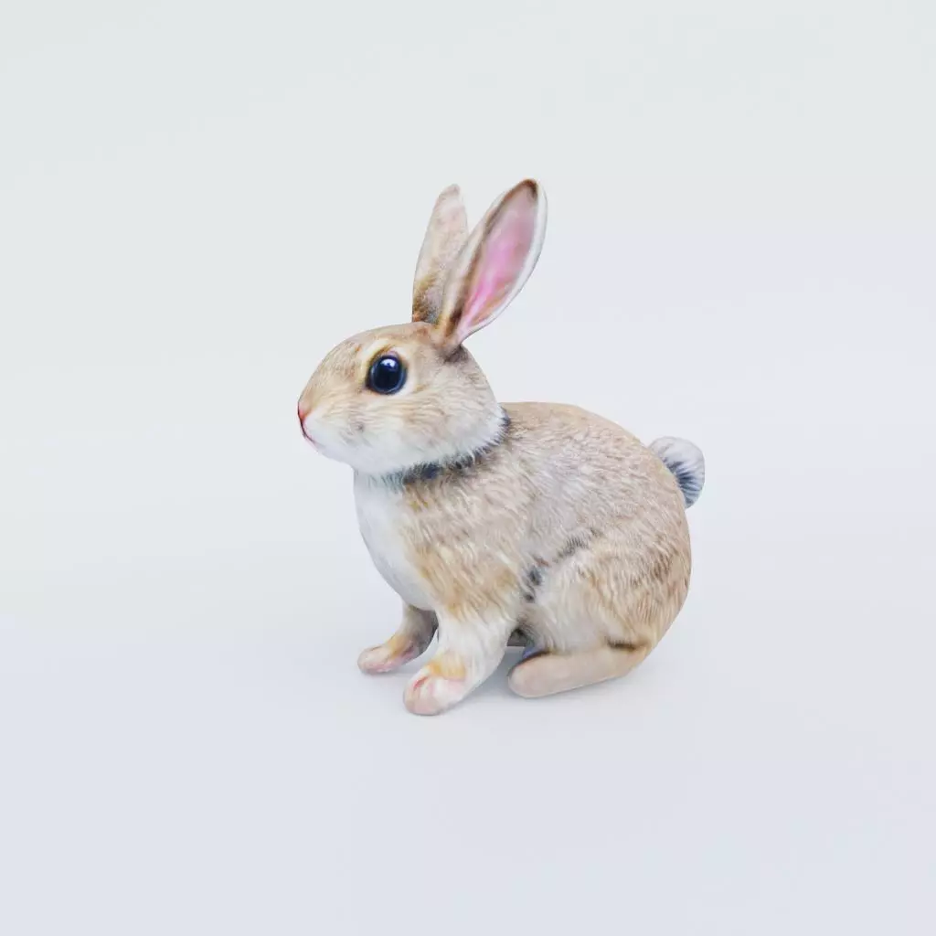Rabbit Free 3D model