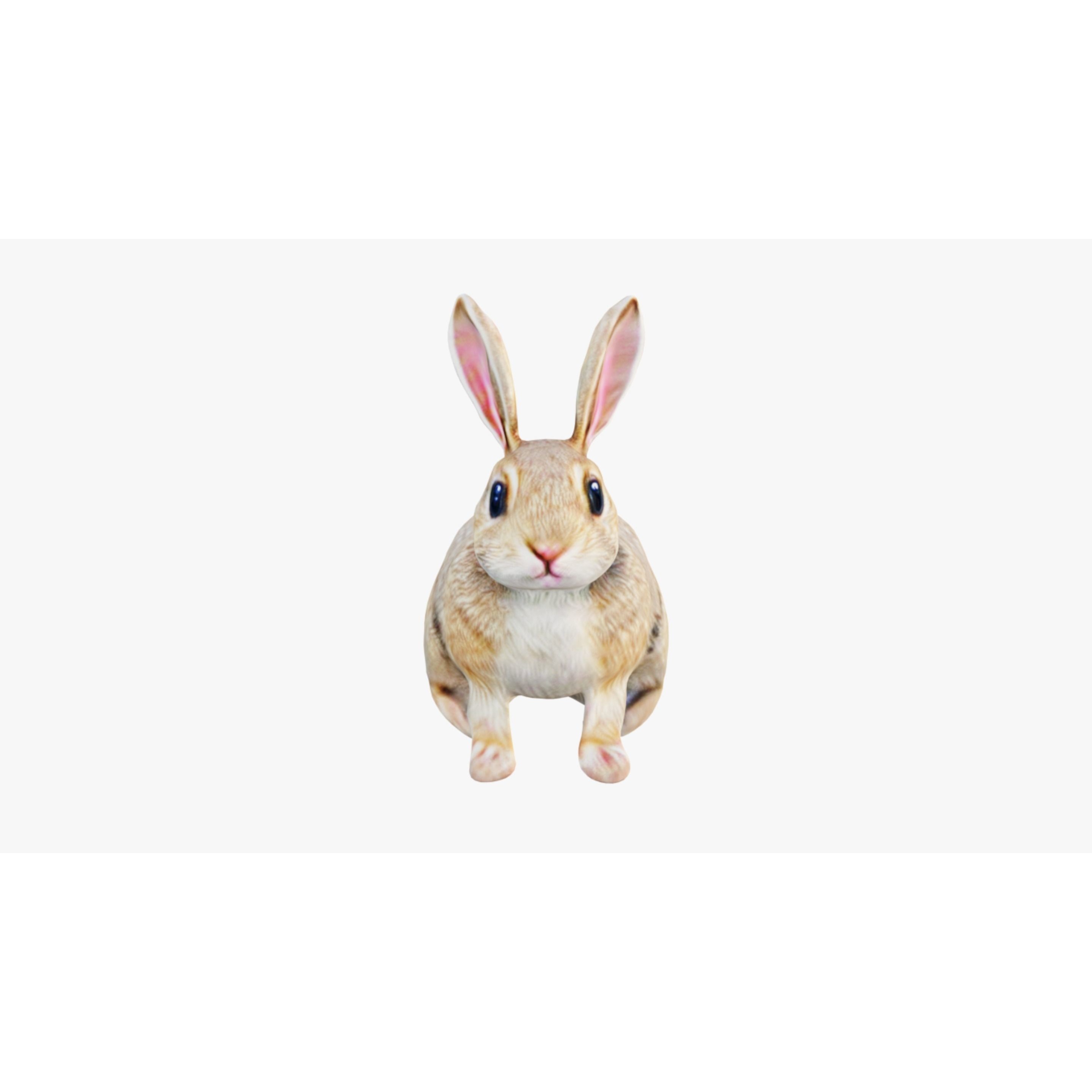 Rabbit Free 3D model 3
