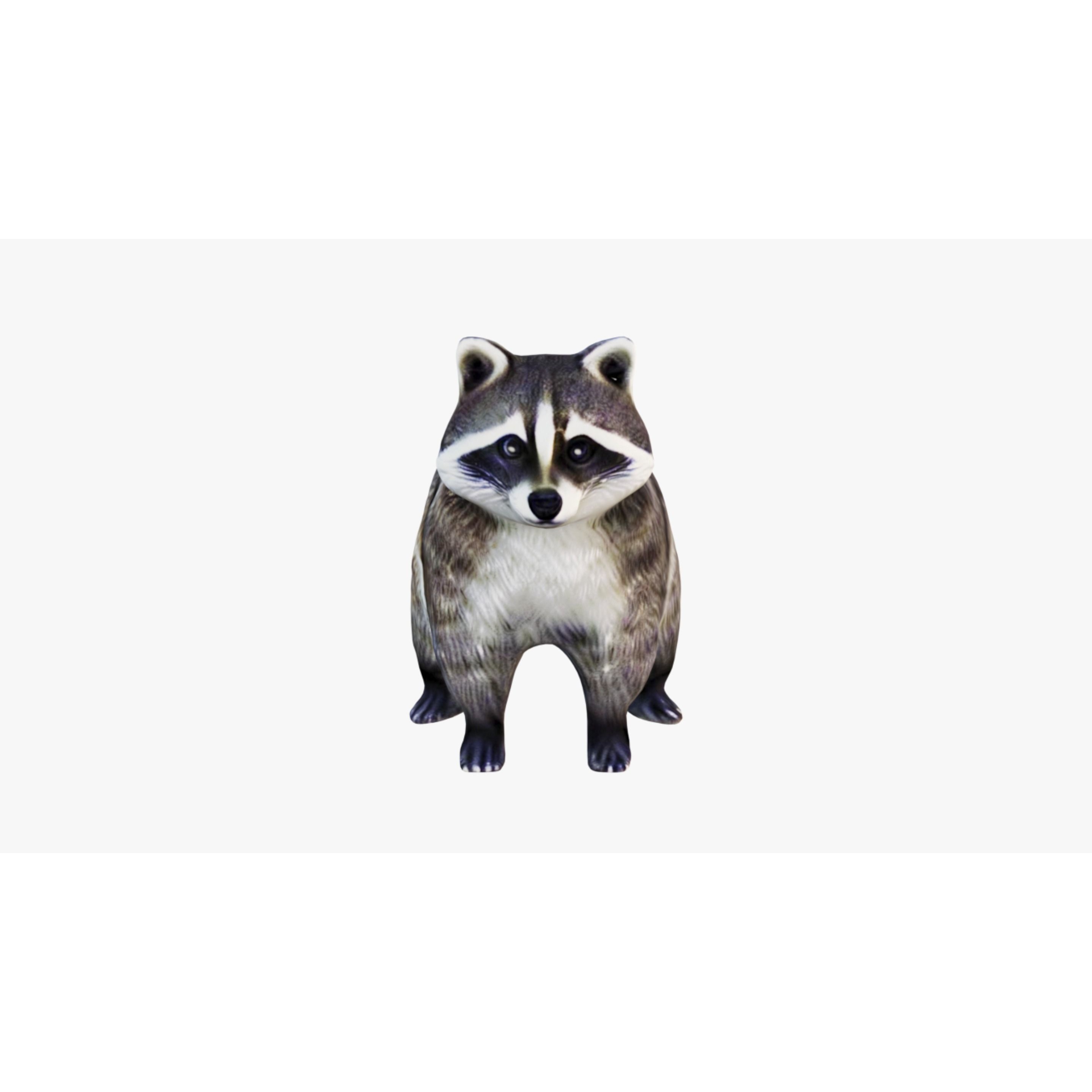 Raccoon Free 3D model 3