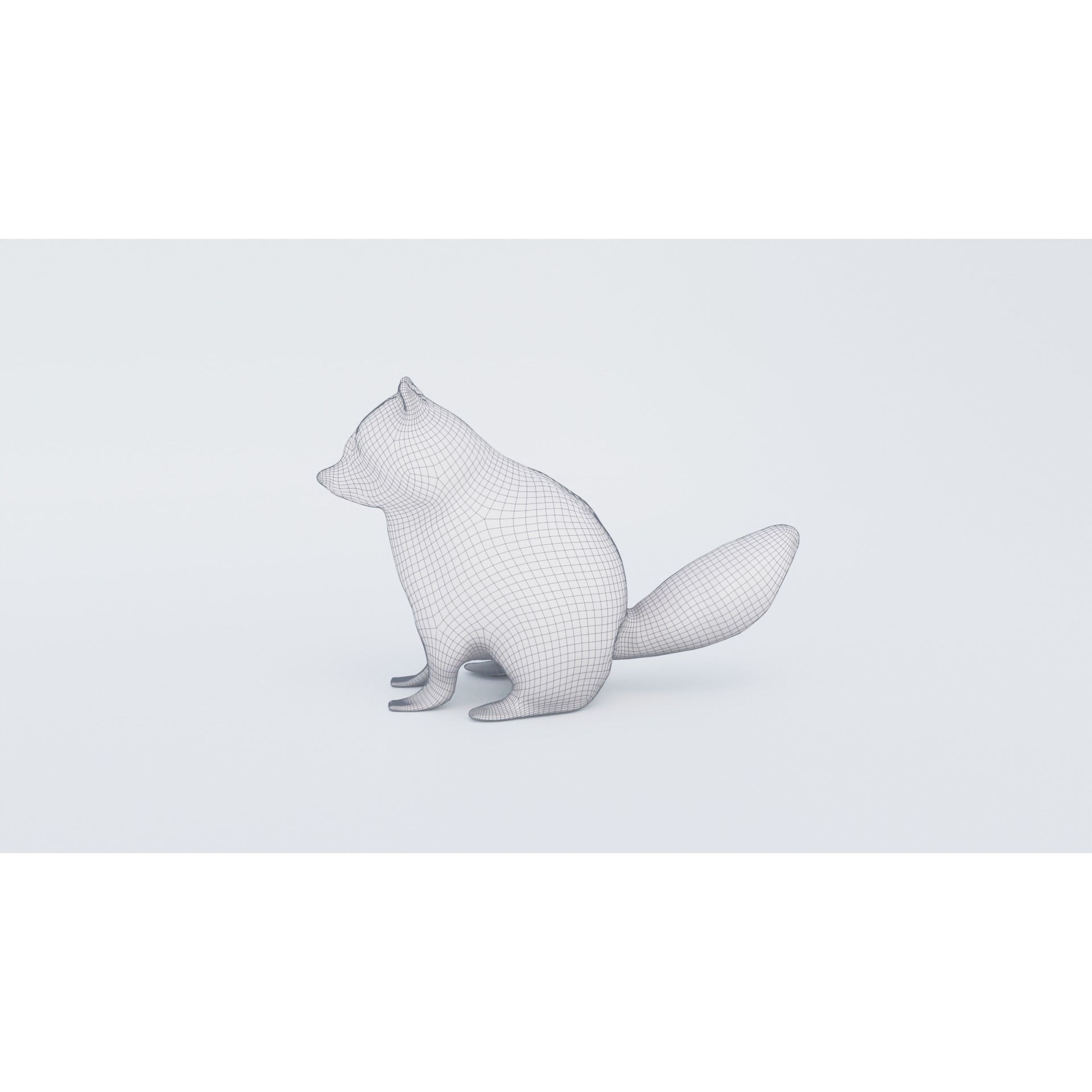Raccoon Free 3D model 7