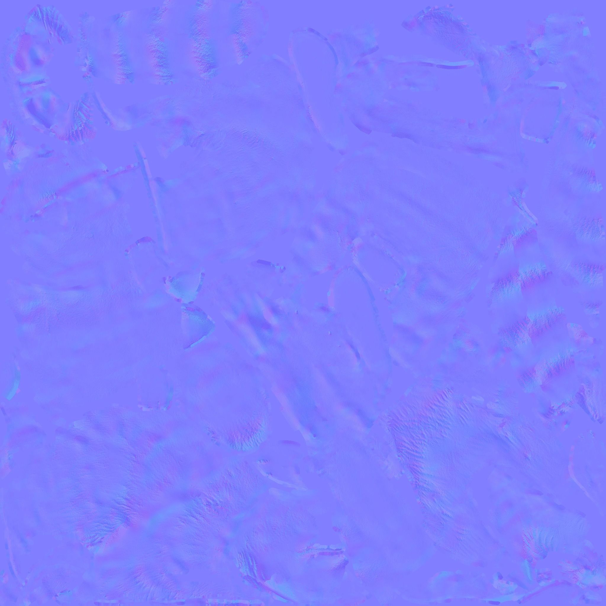 Raccoon Free 3D model 9