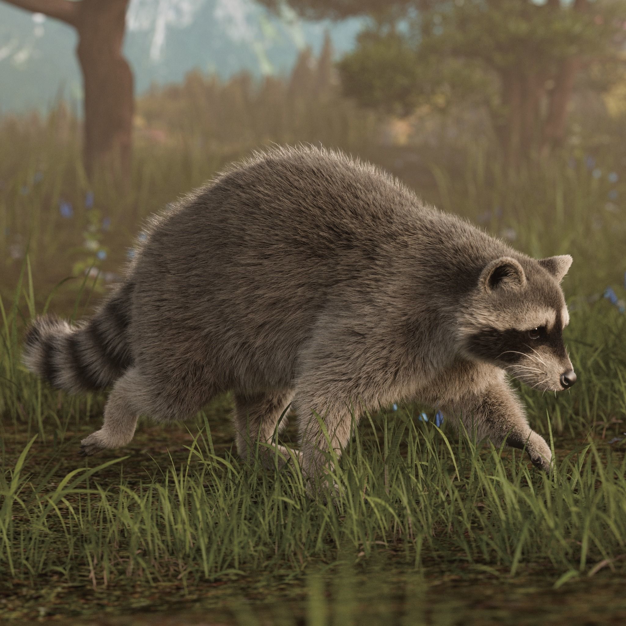 Raccoon Rigged Animated 3D model 5