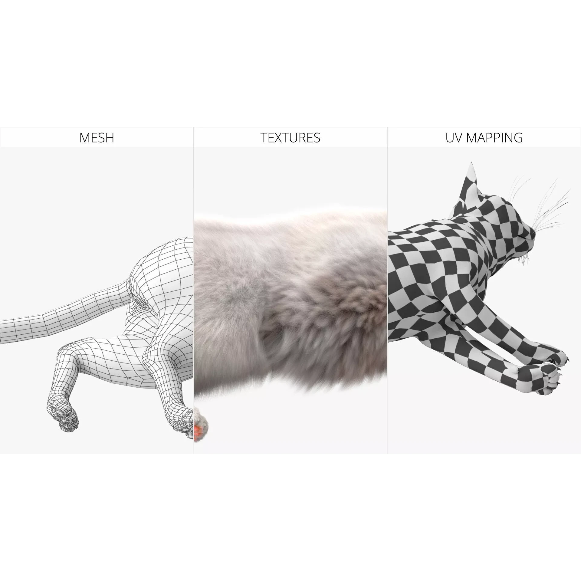 Ragdoll Cat Lying Pose Fur for Cinema 4D 3D model 7