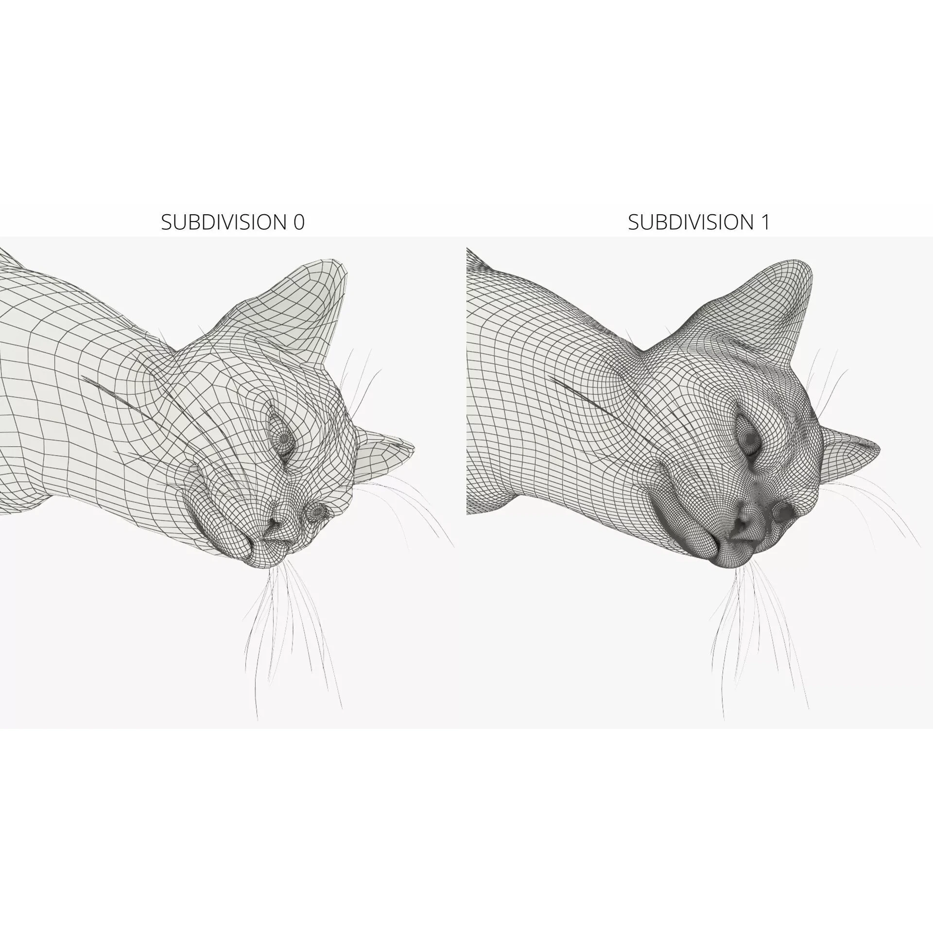 Ragdoll Cat Lying Pose Fur for Cinema 4D 3D model 8