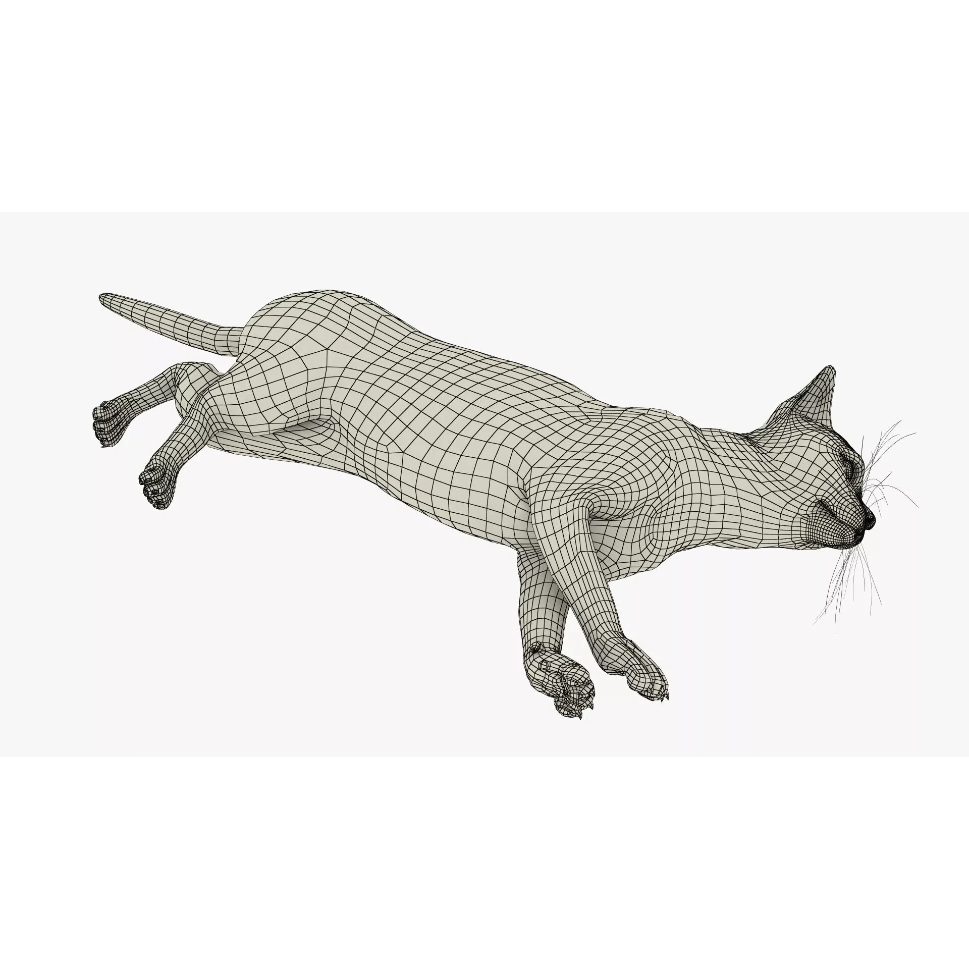 Ragdoll Cat Lying Pose Fur for Cinema 4D 3D model 9