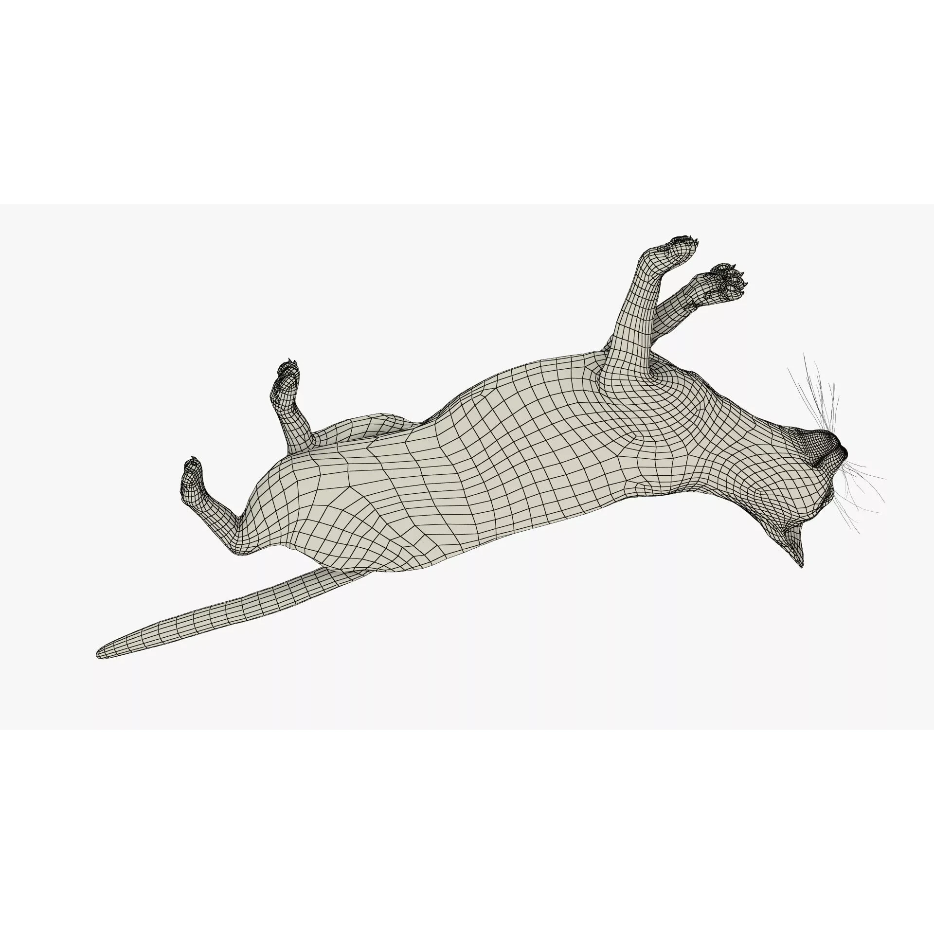 Ragdoll Cat Lying Pose Fur for Cinema 4D 3D model 10