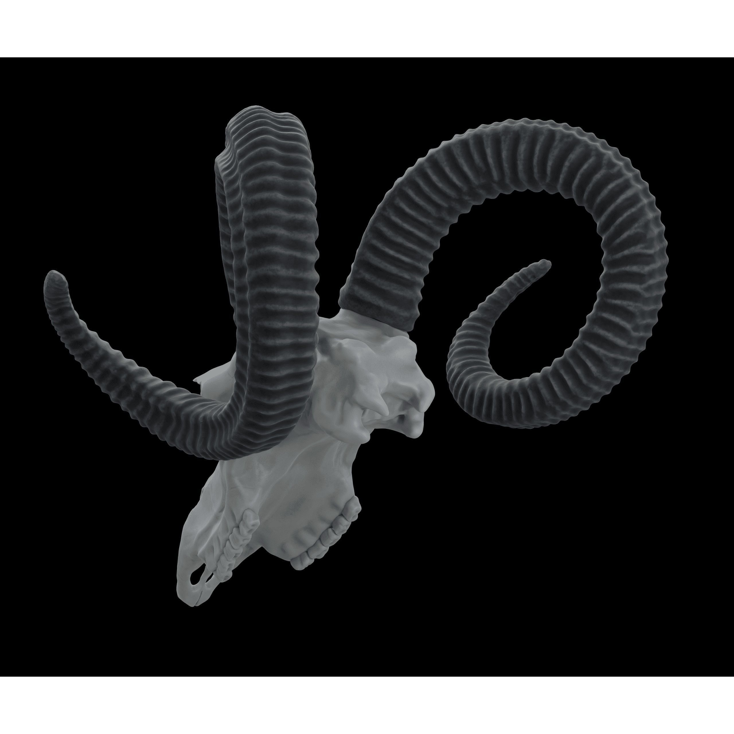 Ram Skull HighPoly Free 3D model 3