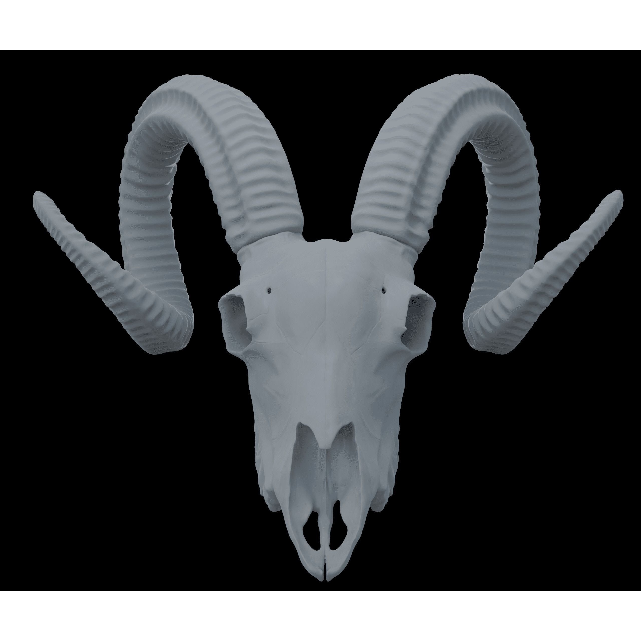 Ram Skull HighPoly Free 3D model 8