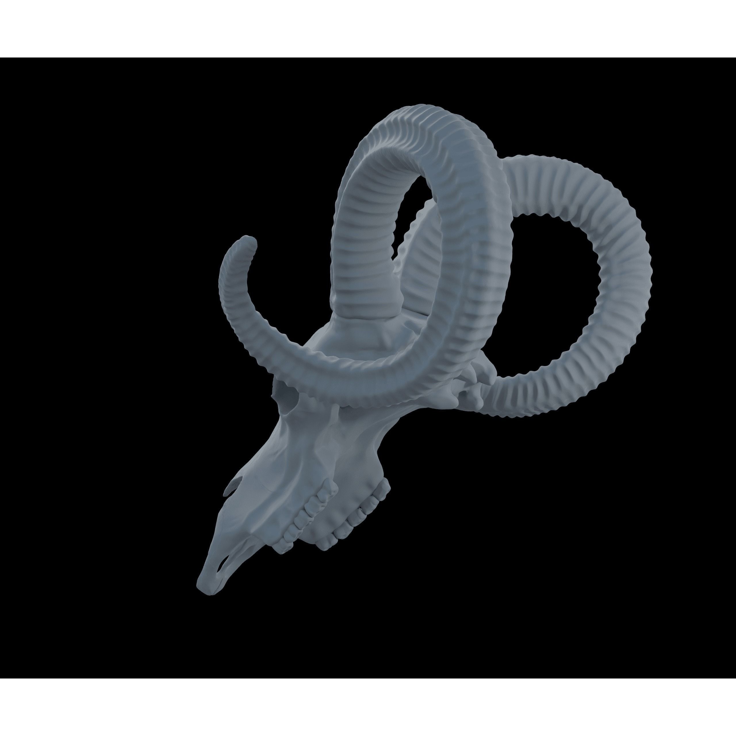 Ram Skull HighPoly Free 3D model 10