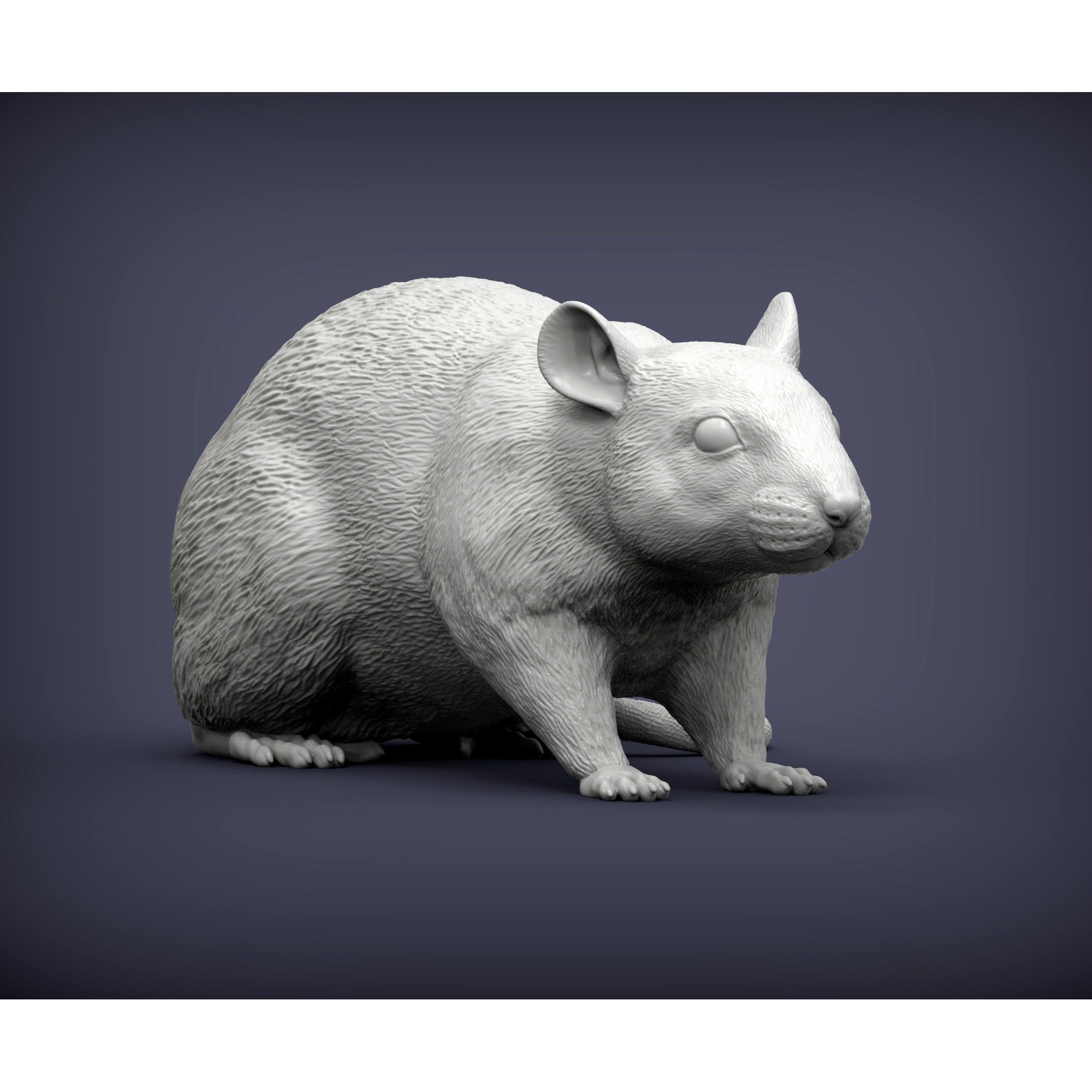Rat 3D print model 3D print model 2