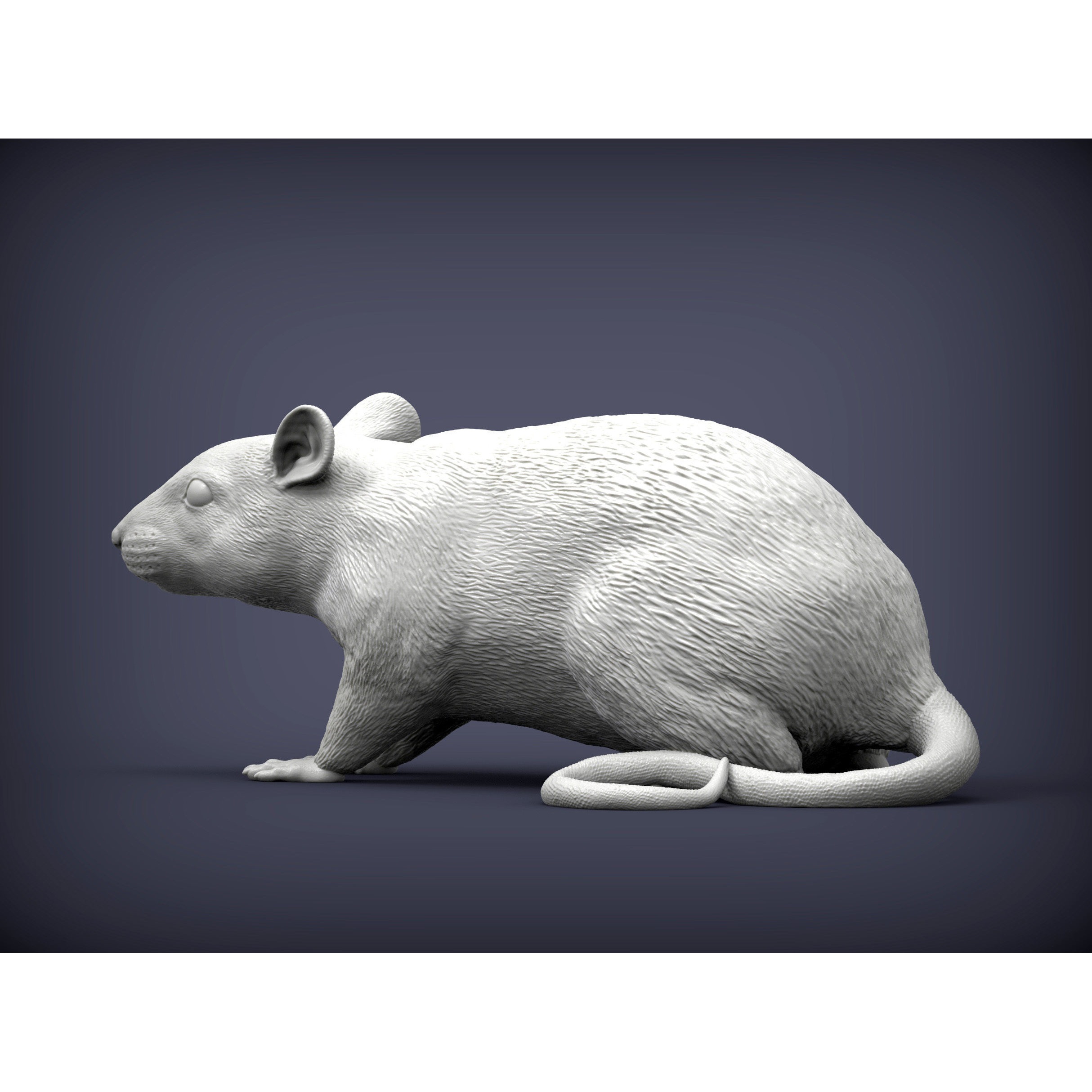 Rat 3D print model 3D print model 3