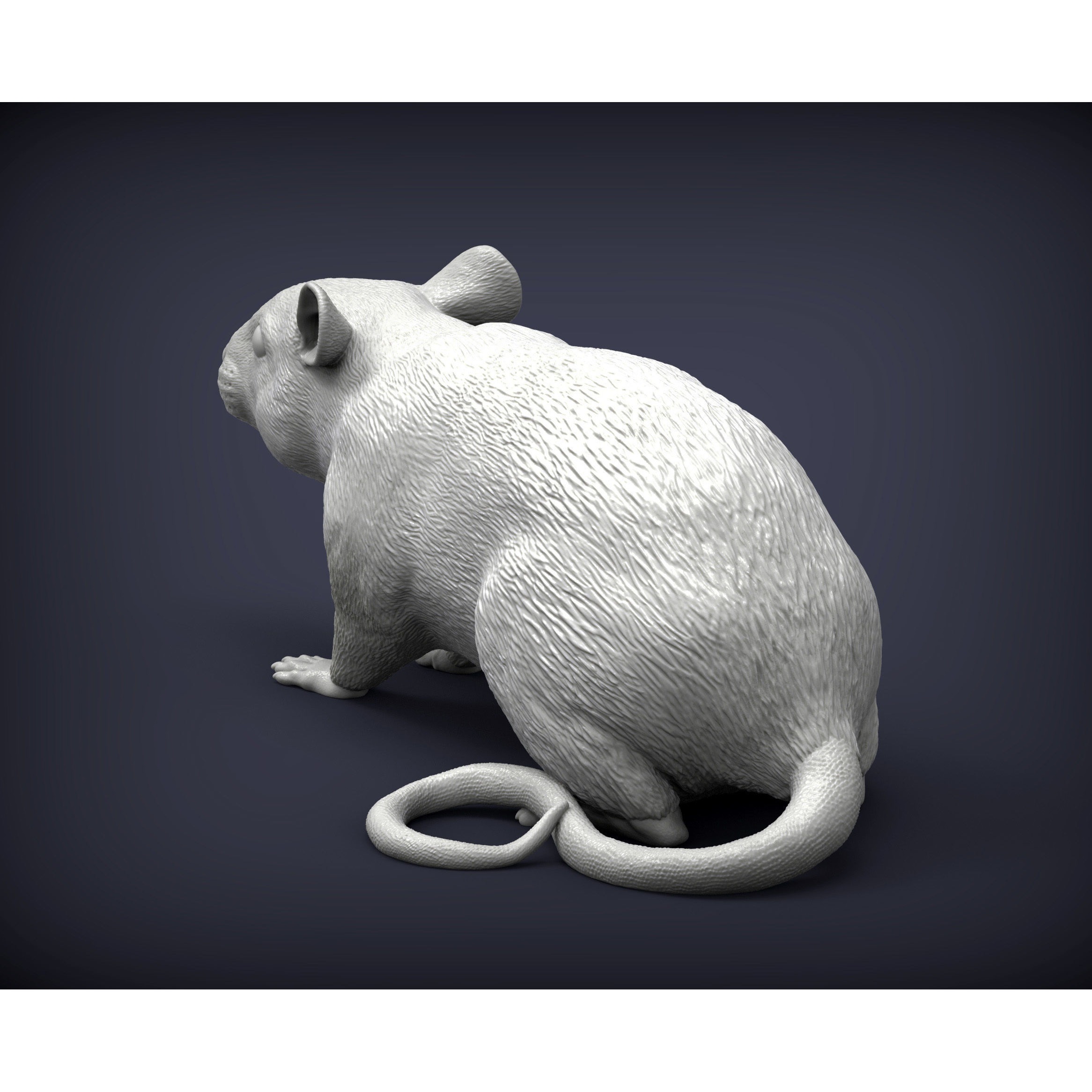 Rat 3D print model 3D print model 4