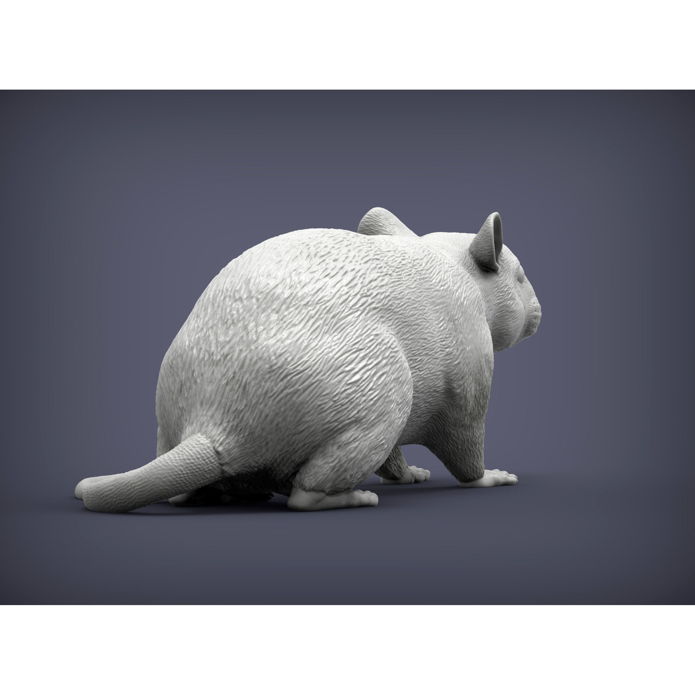 Rat 3D print model 3D print model 7