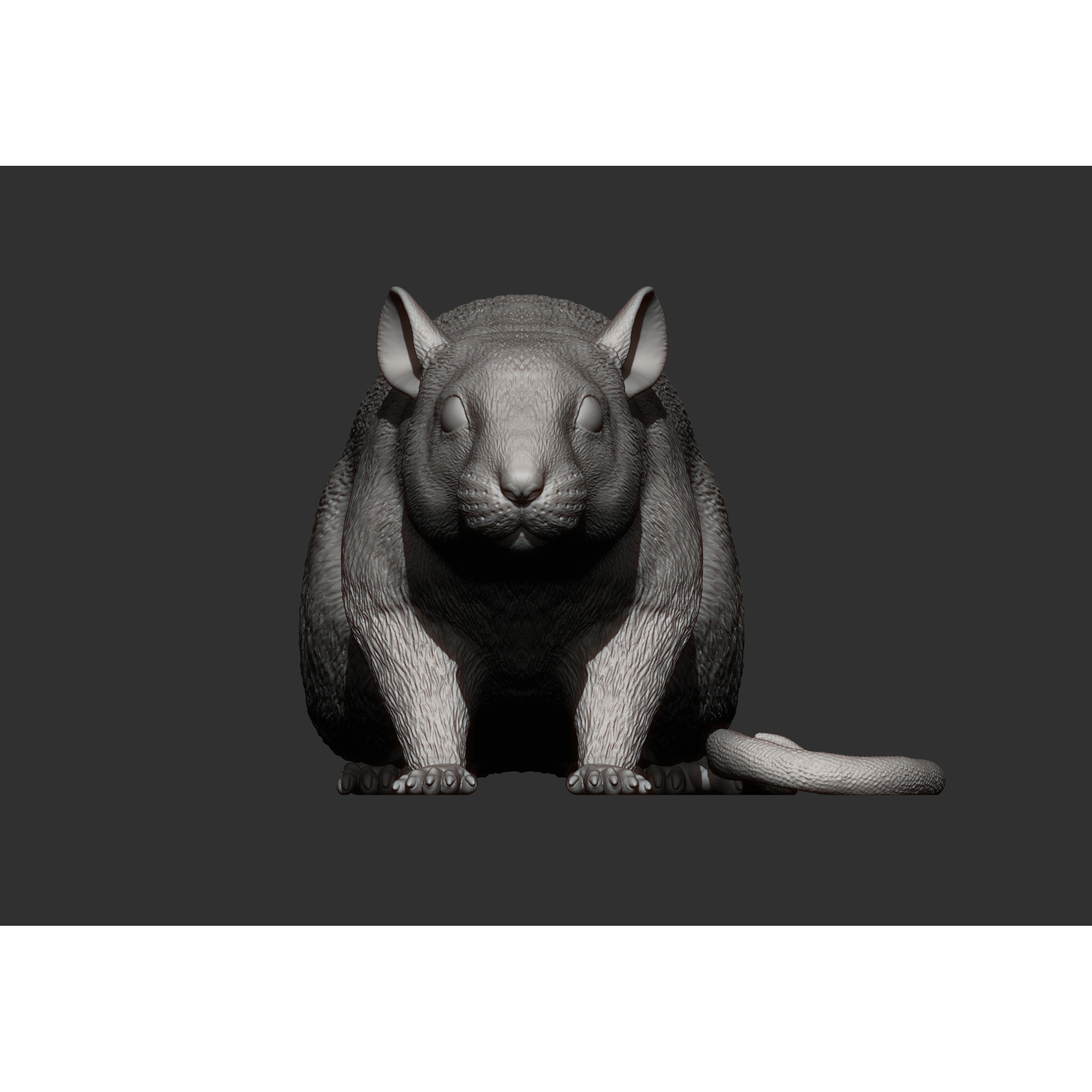 Rat 3D print model 3D print model 8