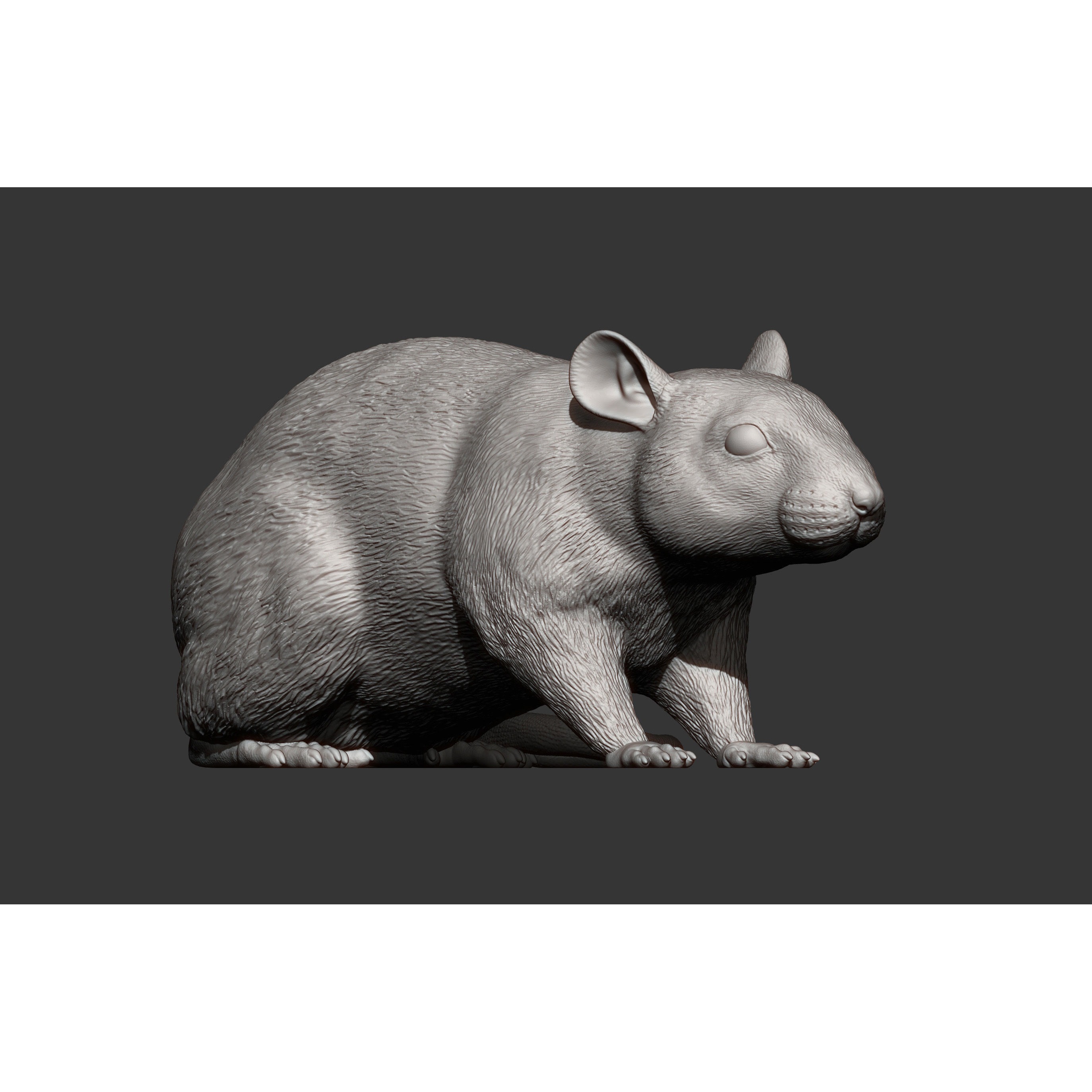 Rat 3D print model 3D print model 10