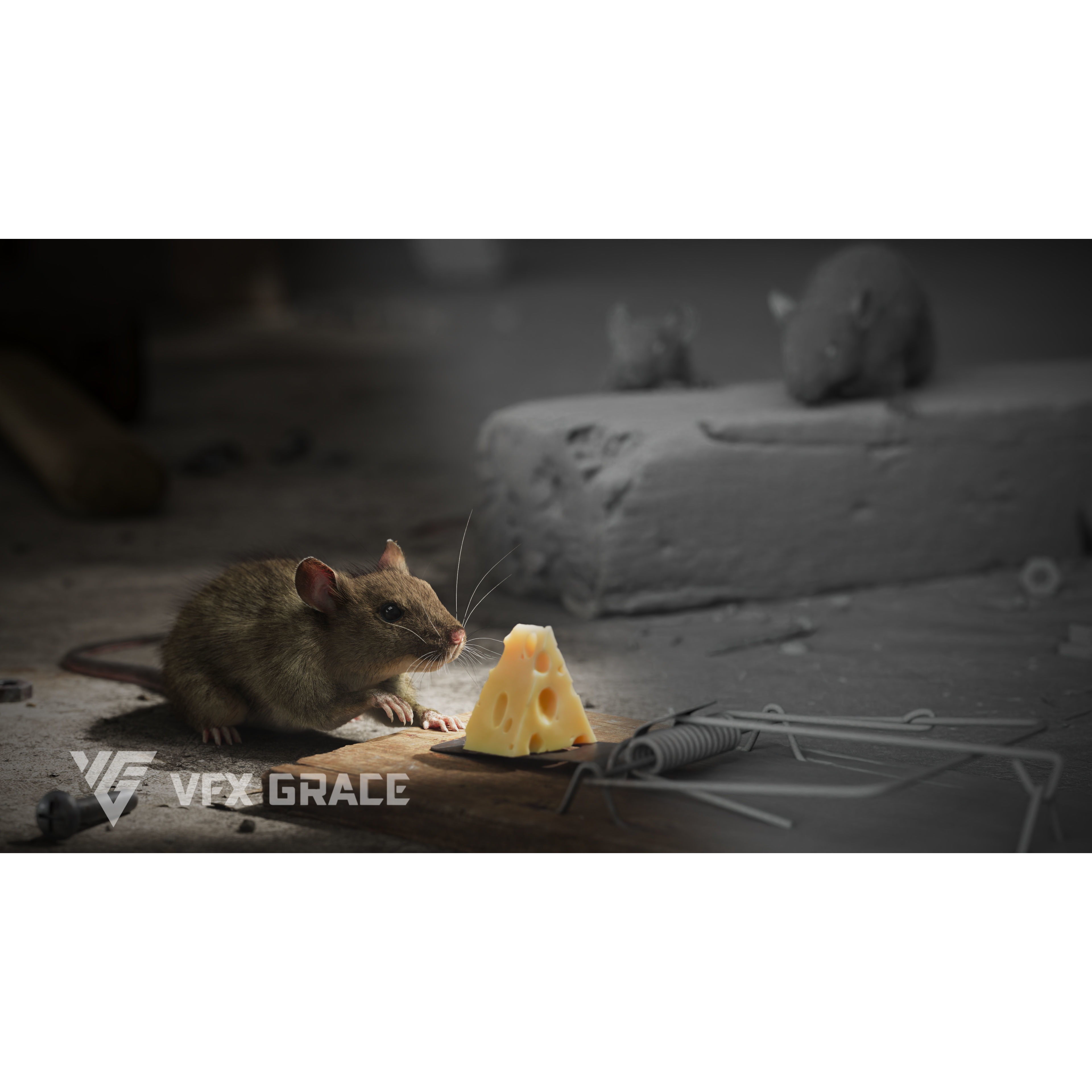 Rat Mouse Animated VFX Grace 3D model 4