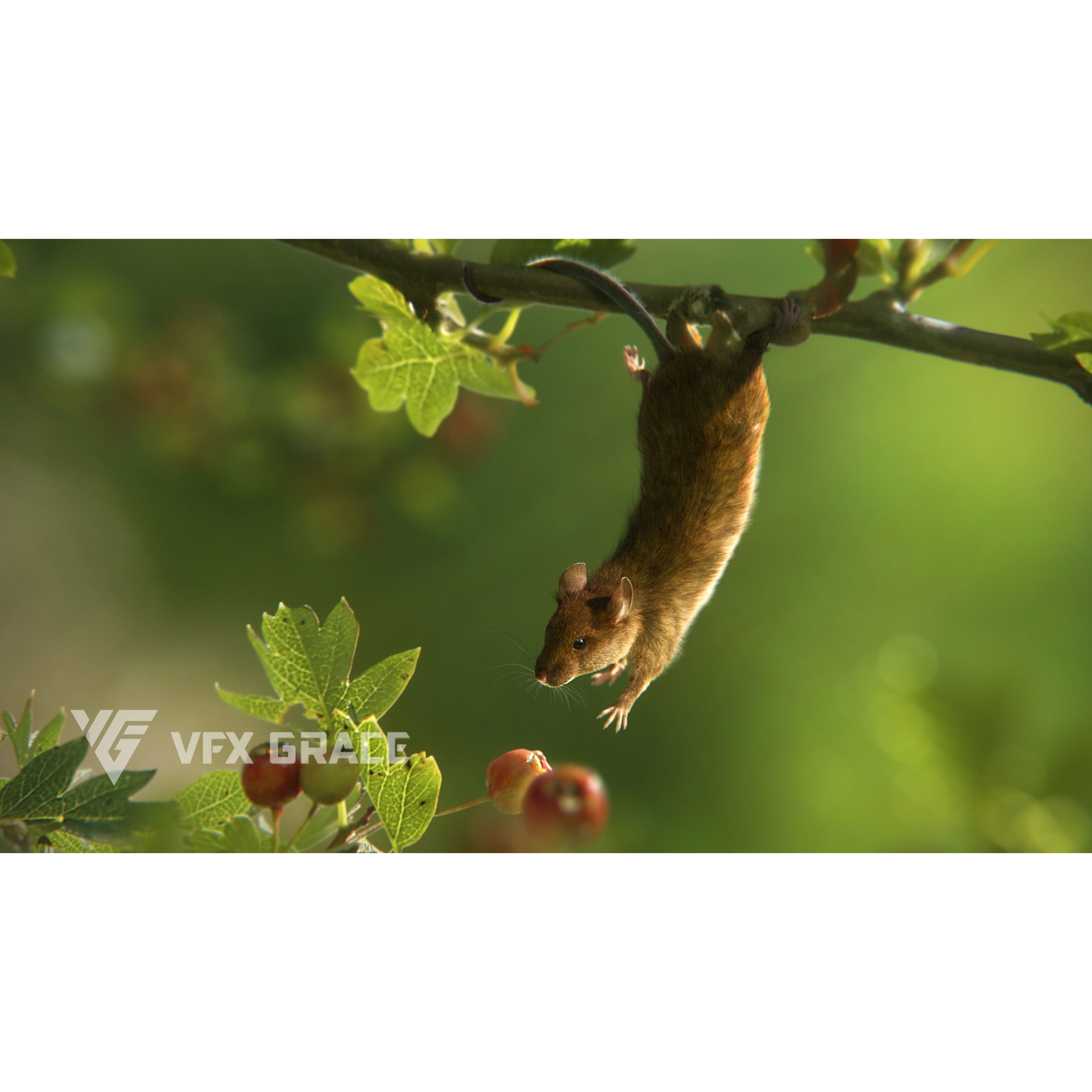 Rat Mouse Animated VFX Grace 3D model 5
