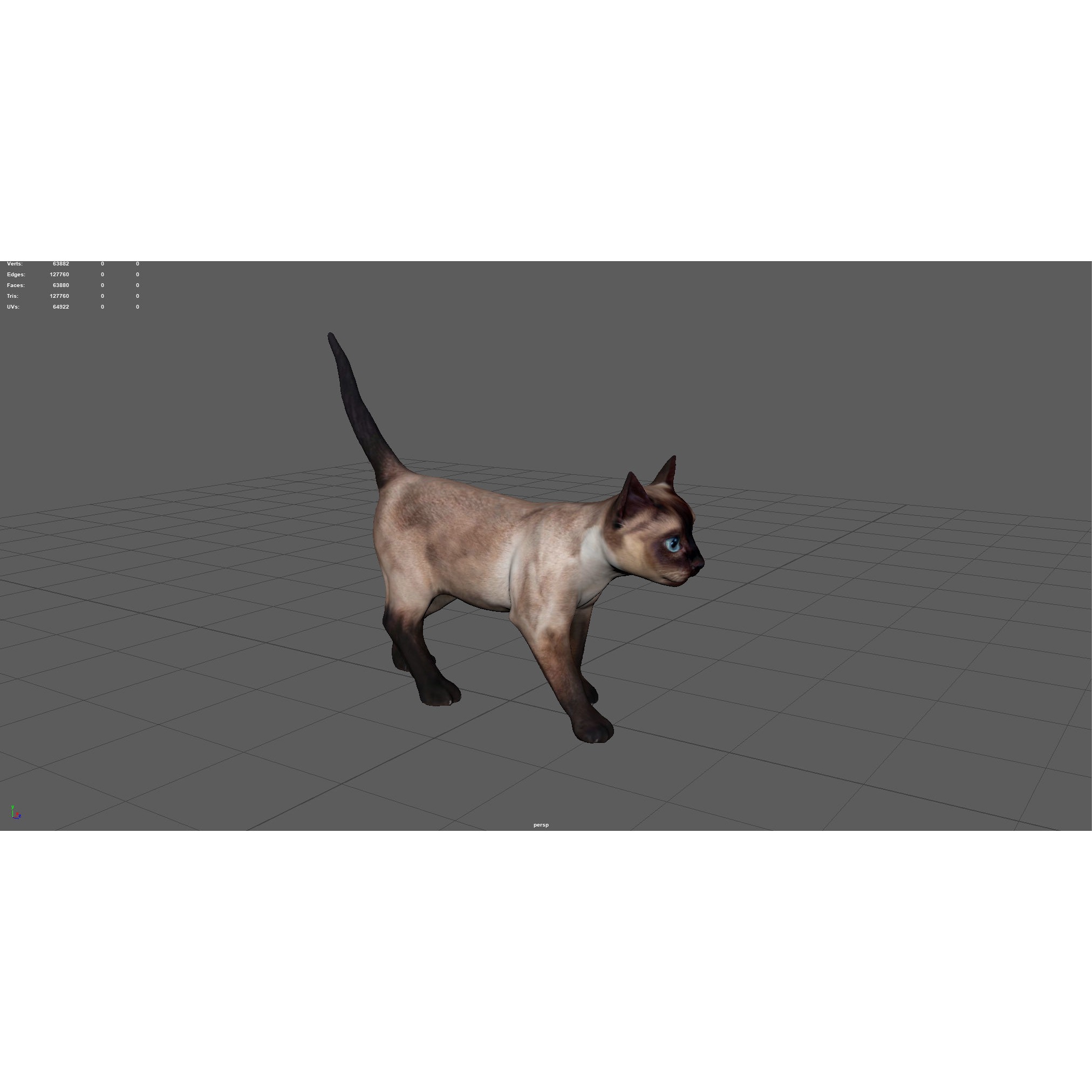 REALISTIC CAT siamese Low-poly 3D model 4