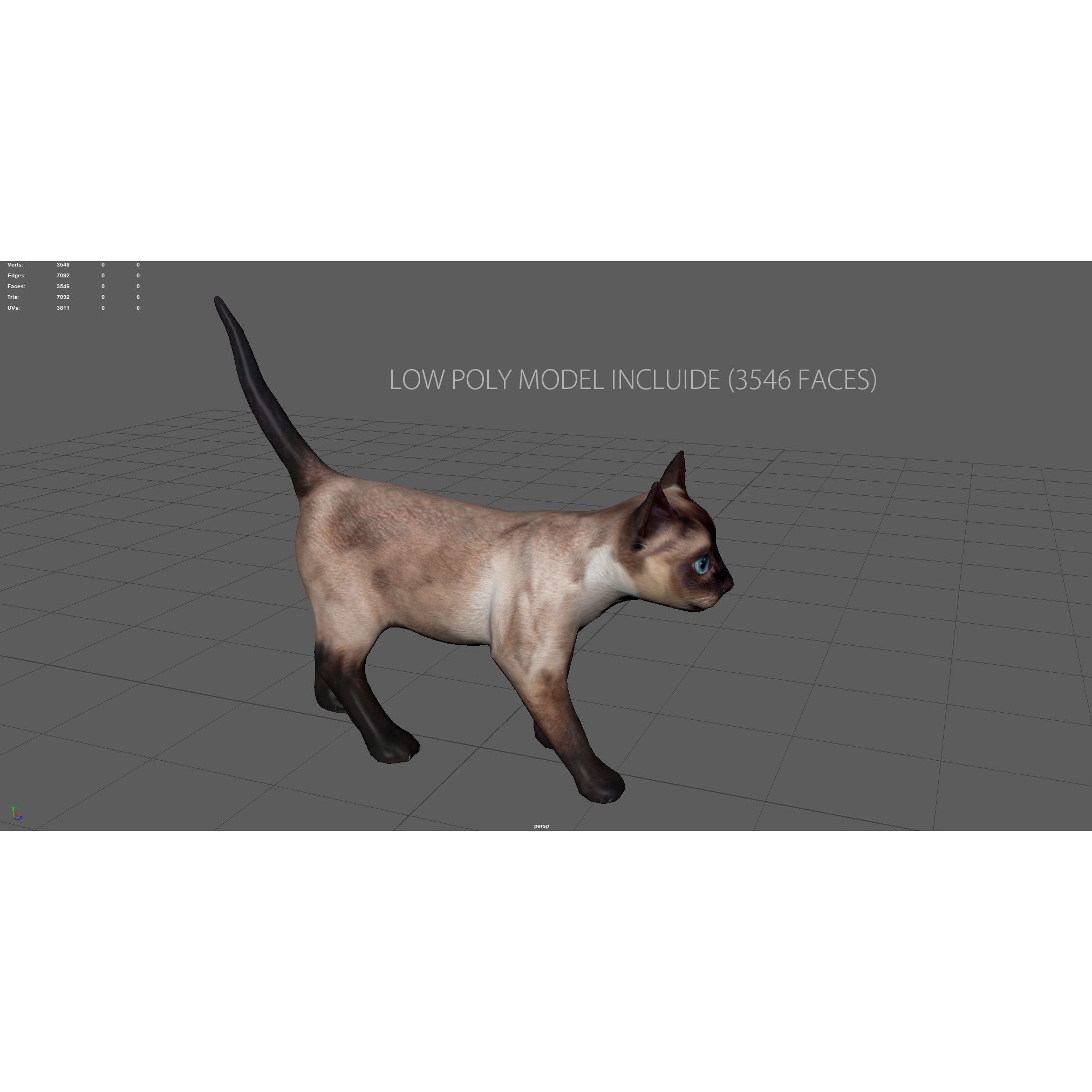 REALISTIC CAT siamese Low-poly 3D model 5