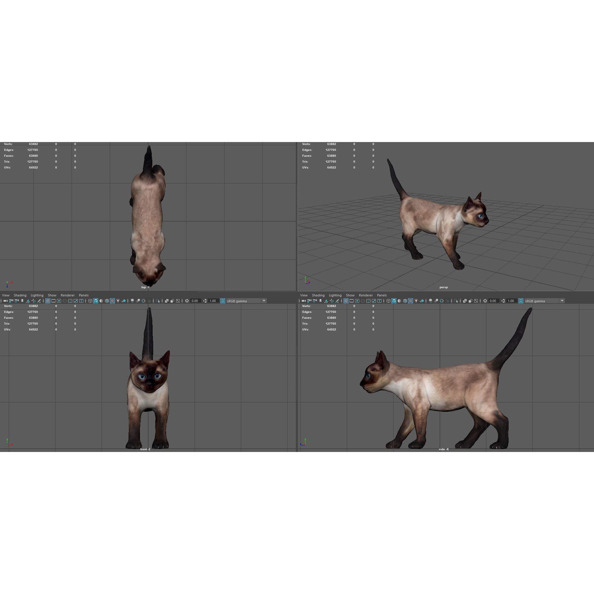 REALISTIC CAT siamese Low-poly 3D model 9