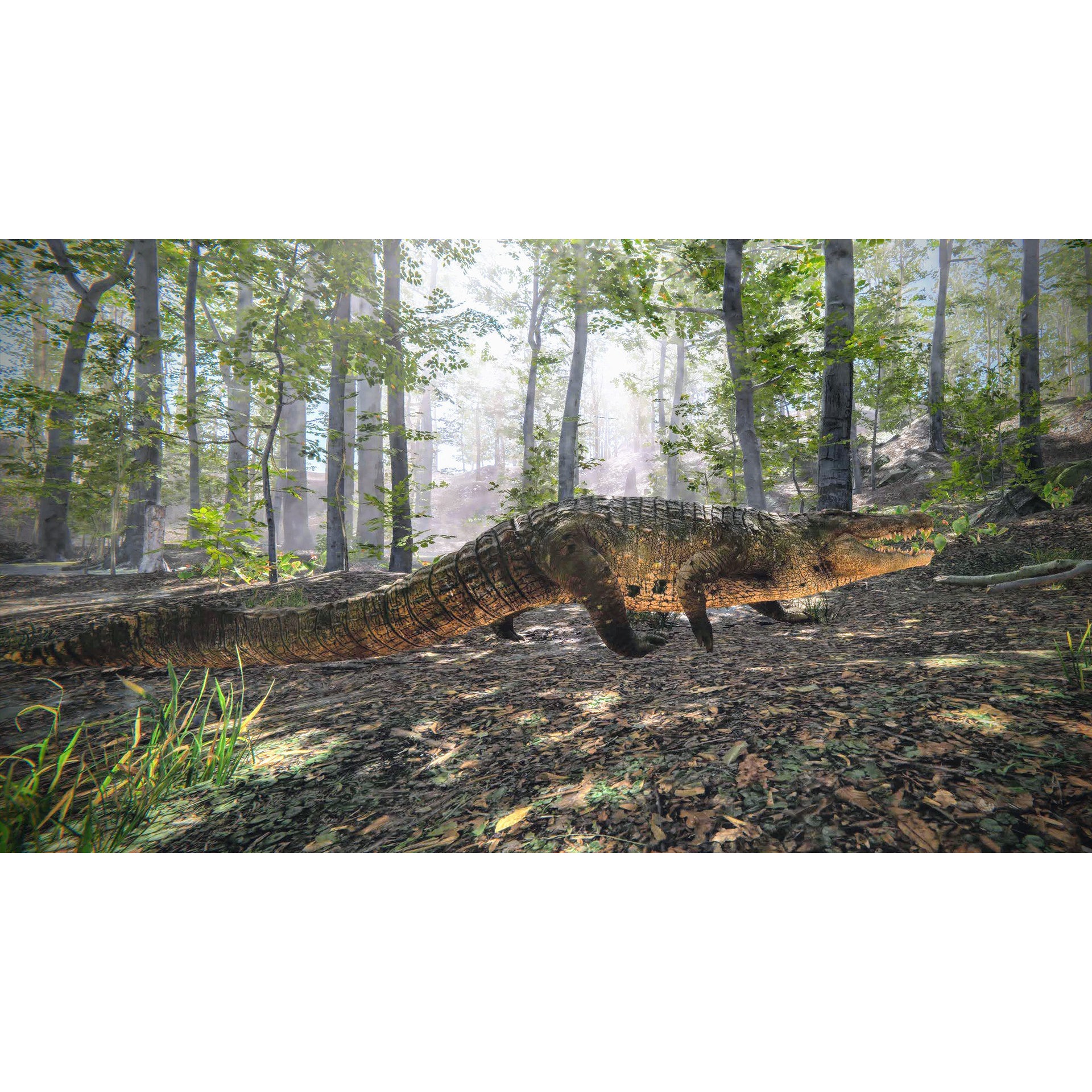 Realistic Crocodile - Alligator Low-poly 3D model 2