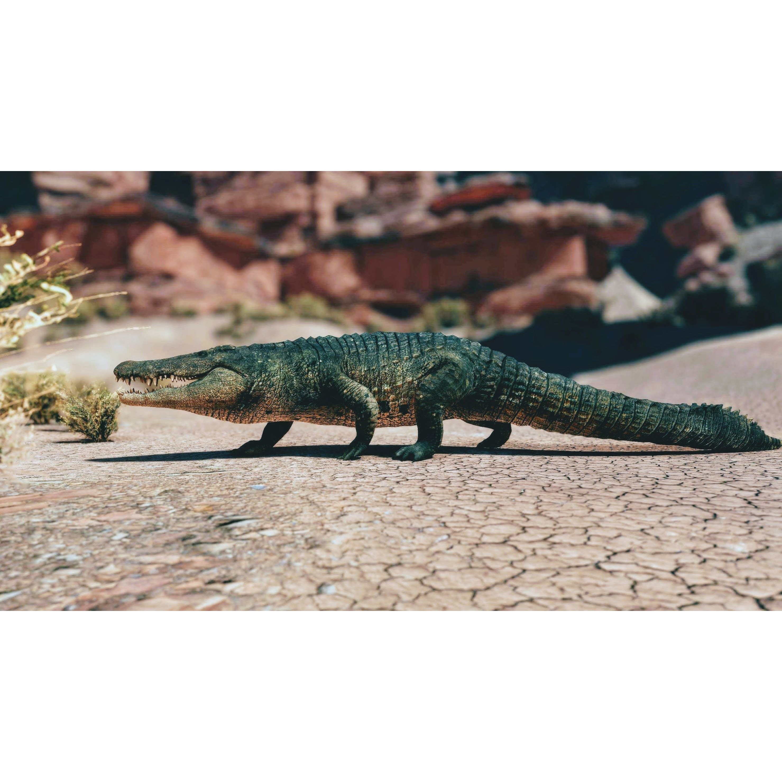 Realistic Crocodile - Alligator Low-poly 3D model 6