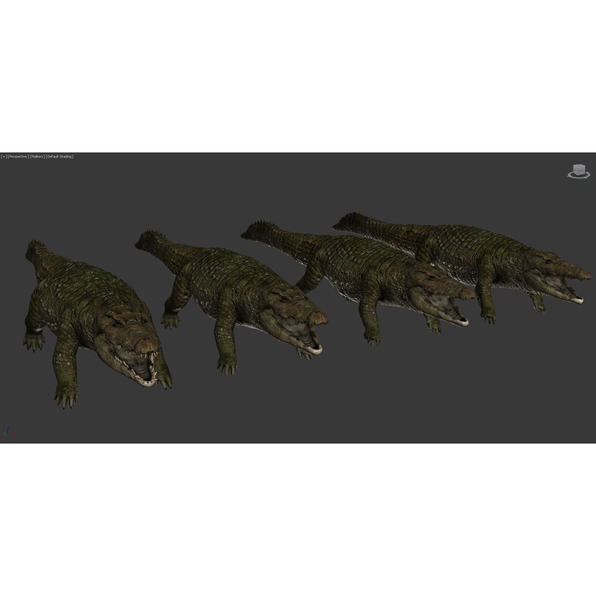 Realistic Crocodile - Alligator Low-poly 3D model 8