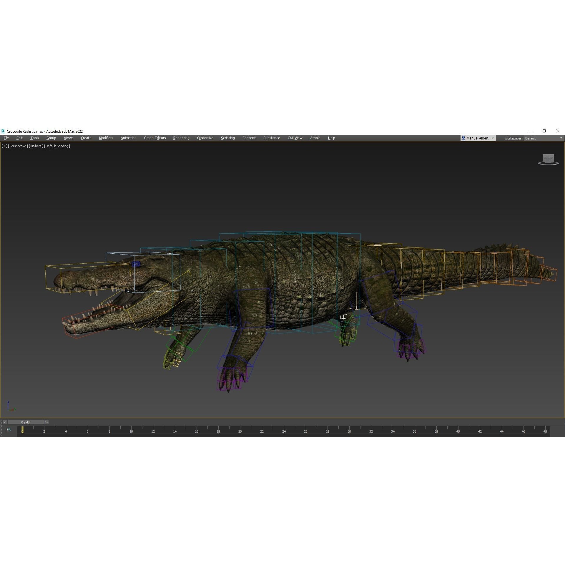 Realistic Crocodile - Alligator Low-poly 3D model 9